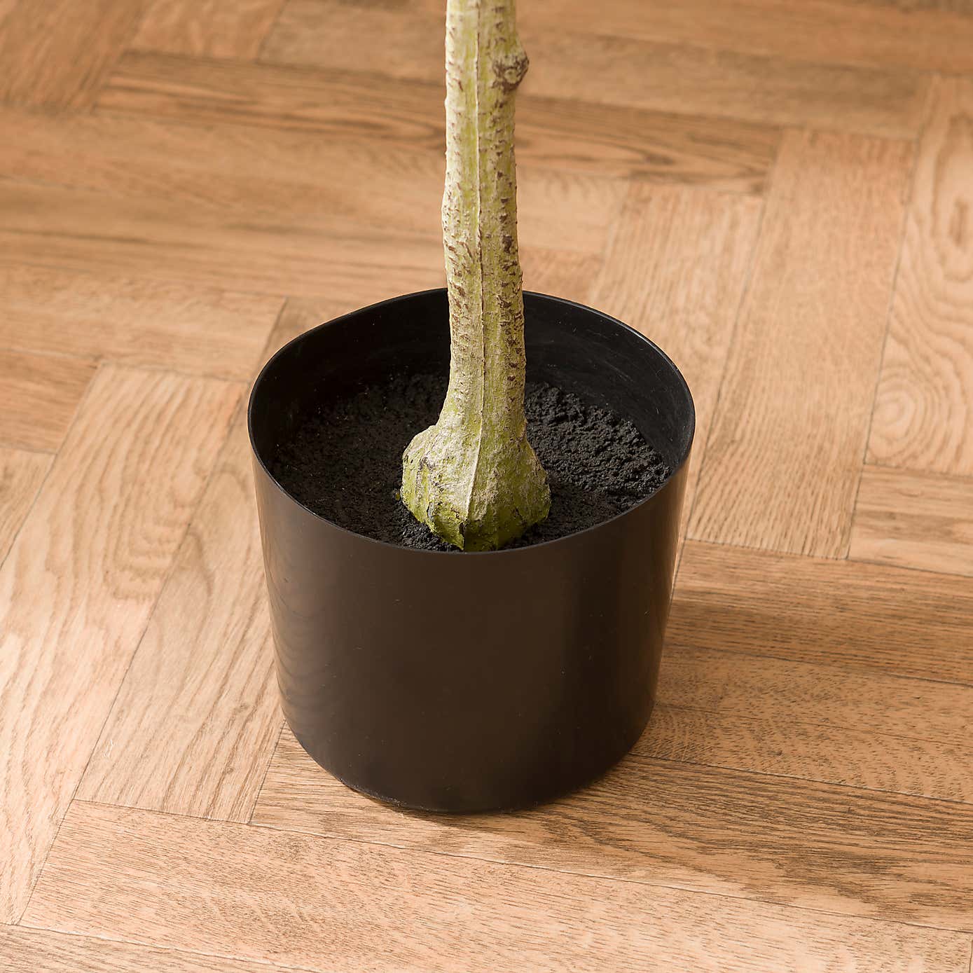 Artificial Blue Gum Tree in Black Plastic Plant Pot