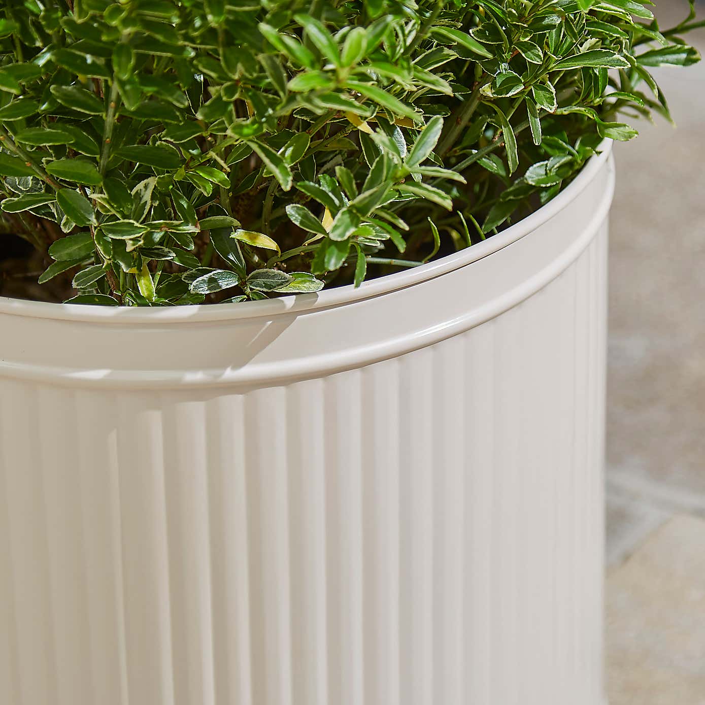Round Galvanised Plant Pot
