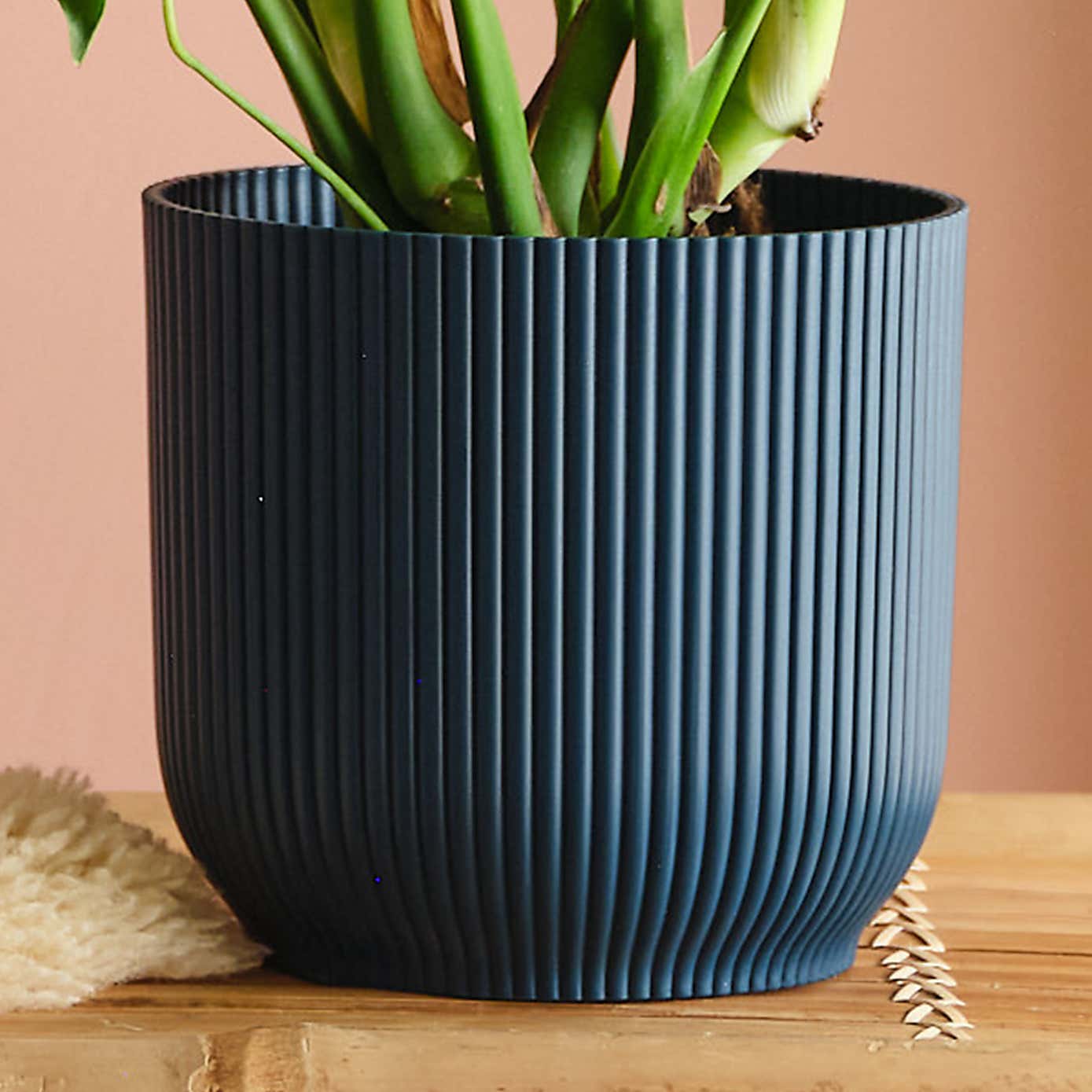 Swiss Cheese House Plant in Elho Pot