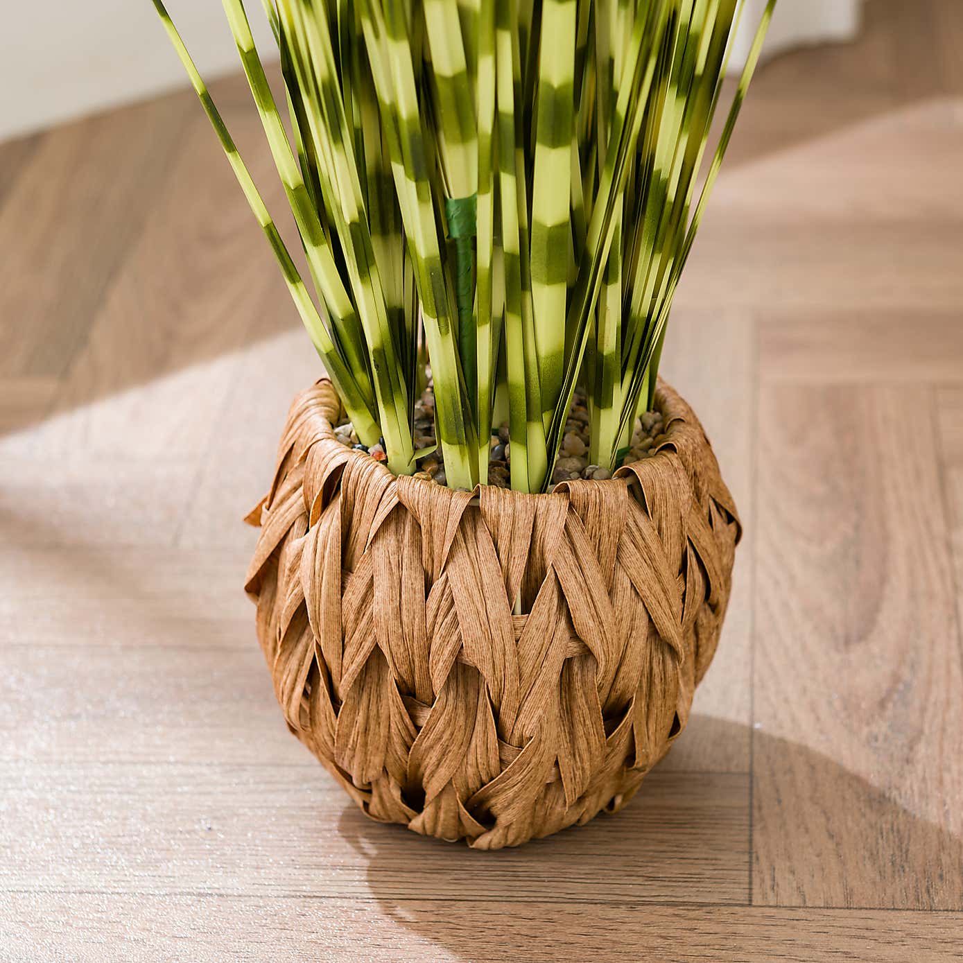 Zebra Grass in Woven Pot