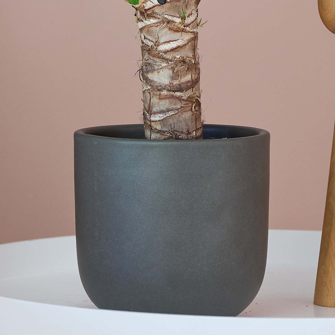 Beards and Daisies Earthenware Plant Pot