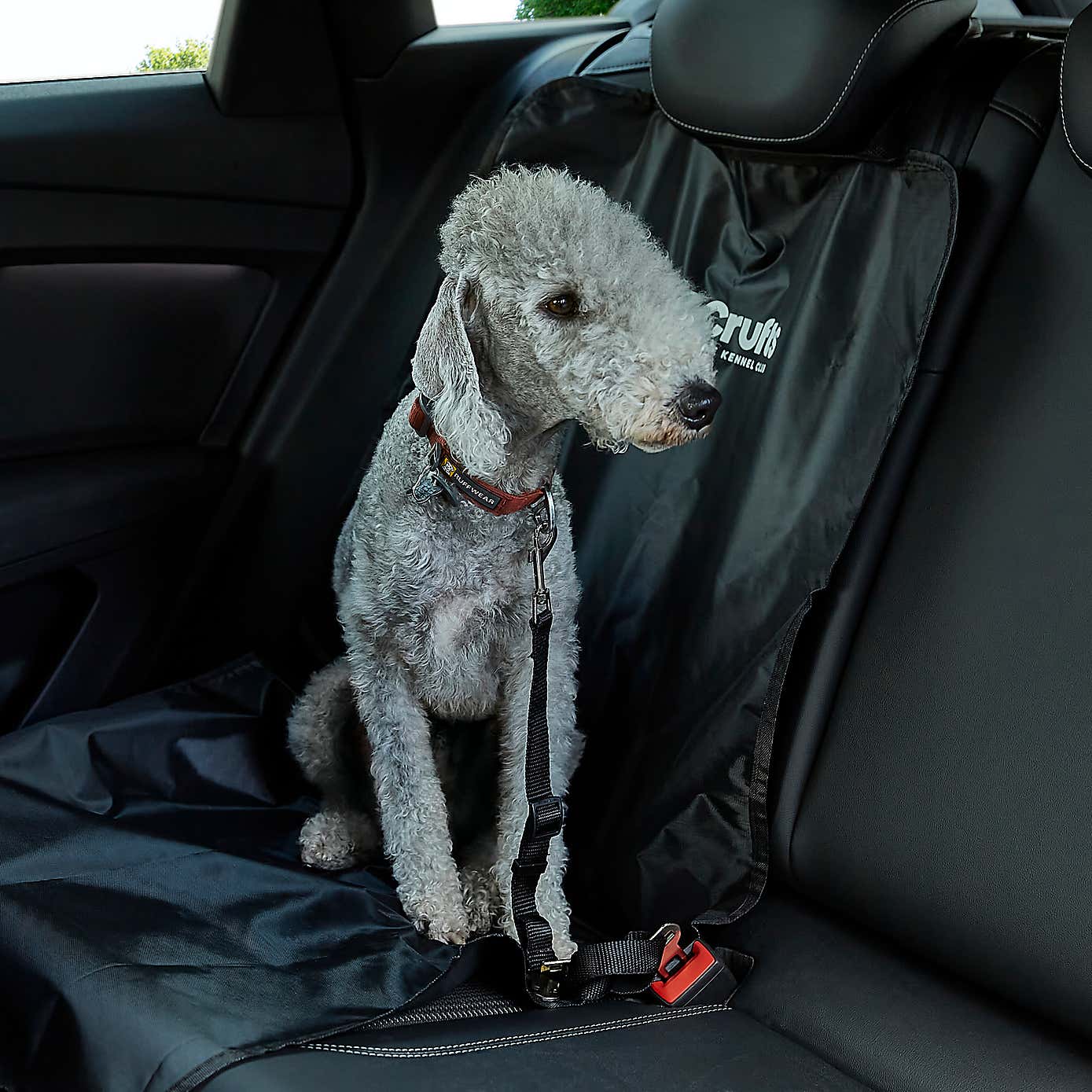 Crufts Pet Seat Belt Restraint
