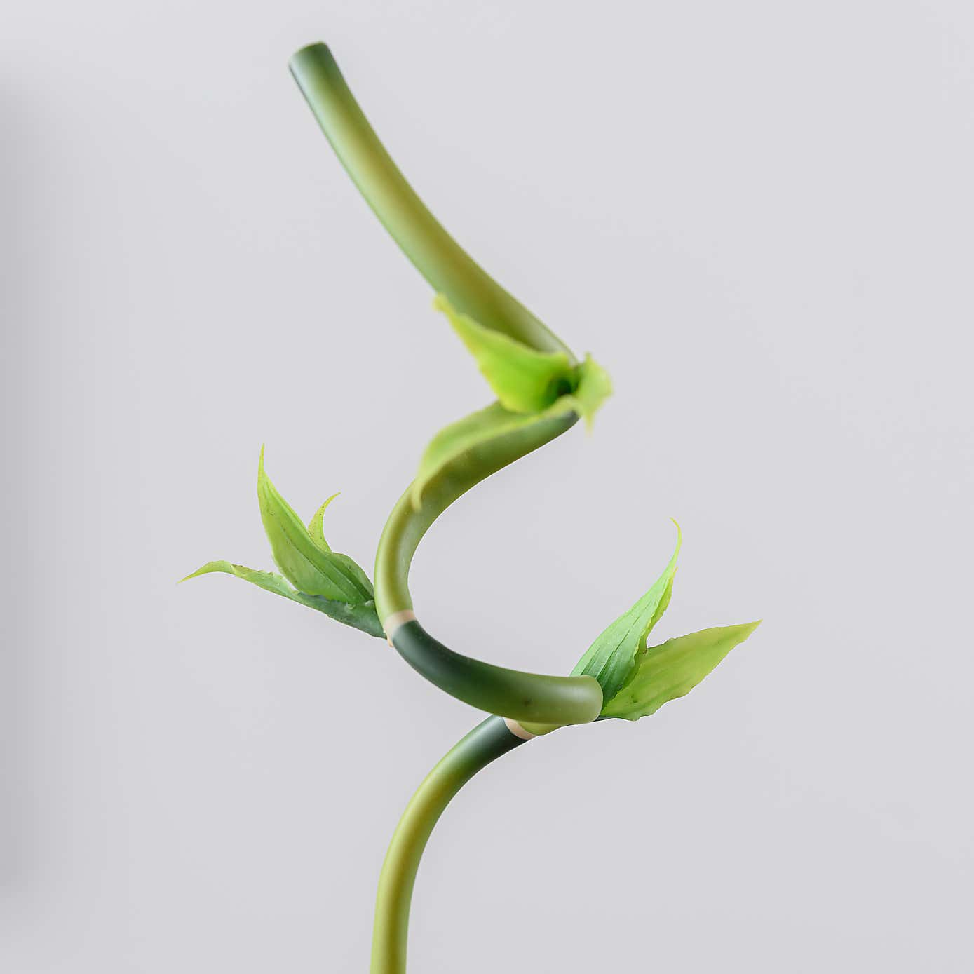 Artificial Green Lucky Bamboo Stem