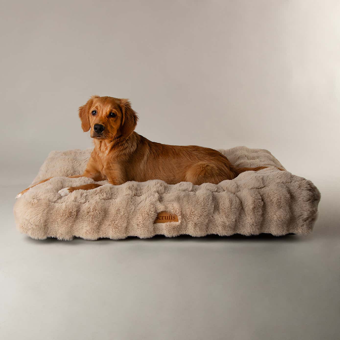 Scruffs Luxurious Alpine Dog Mattress