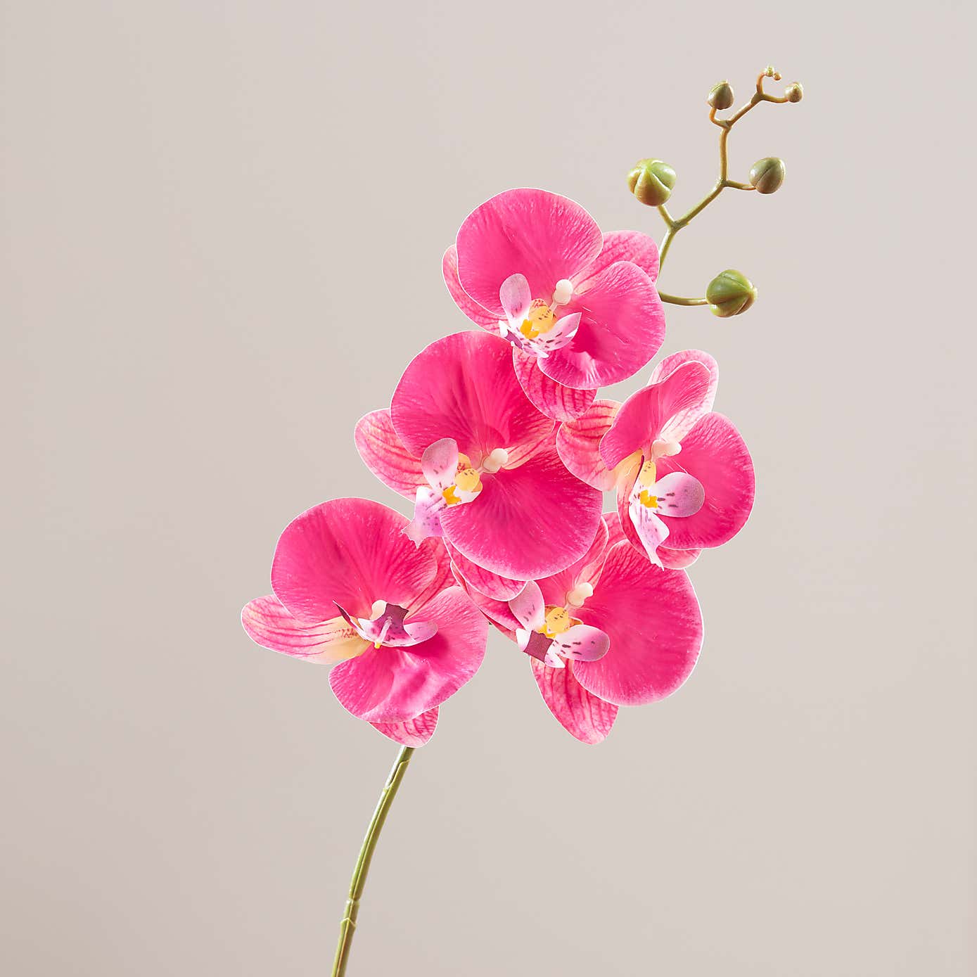Artificial Orchid Stem