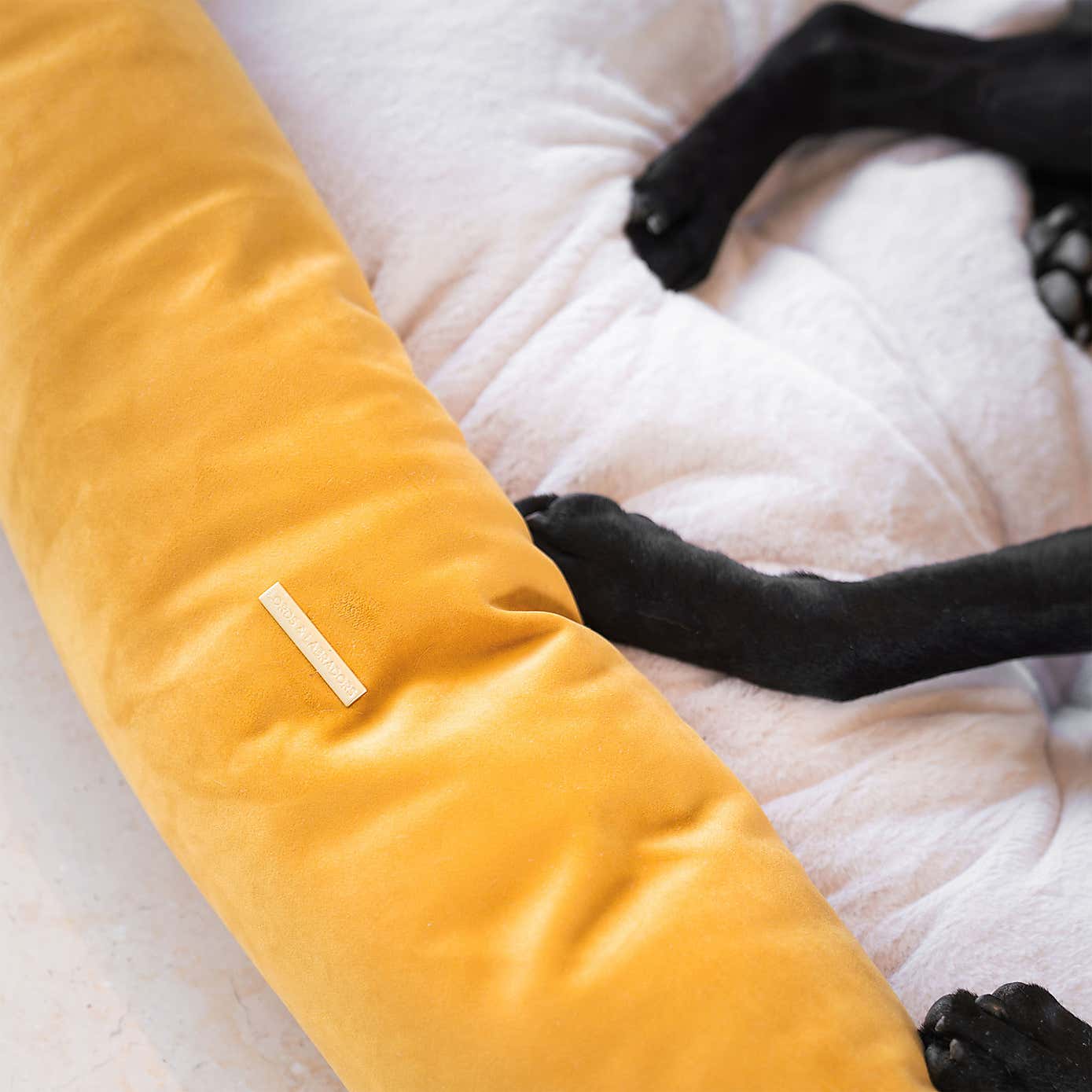 Lords and Labradors Velvet Box Dog Bed