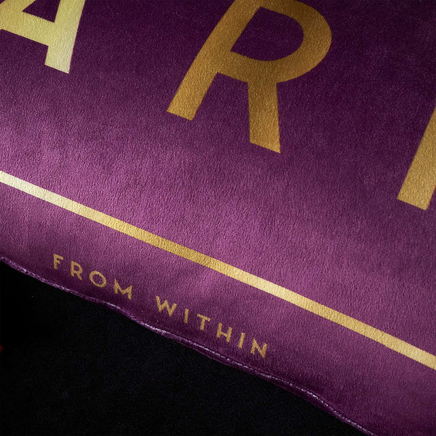 Bridgerton By Catherine Lansfield Sparkle Within Cushion