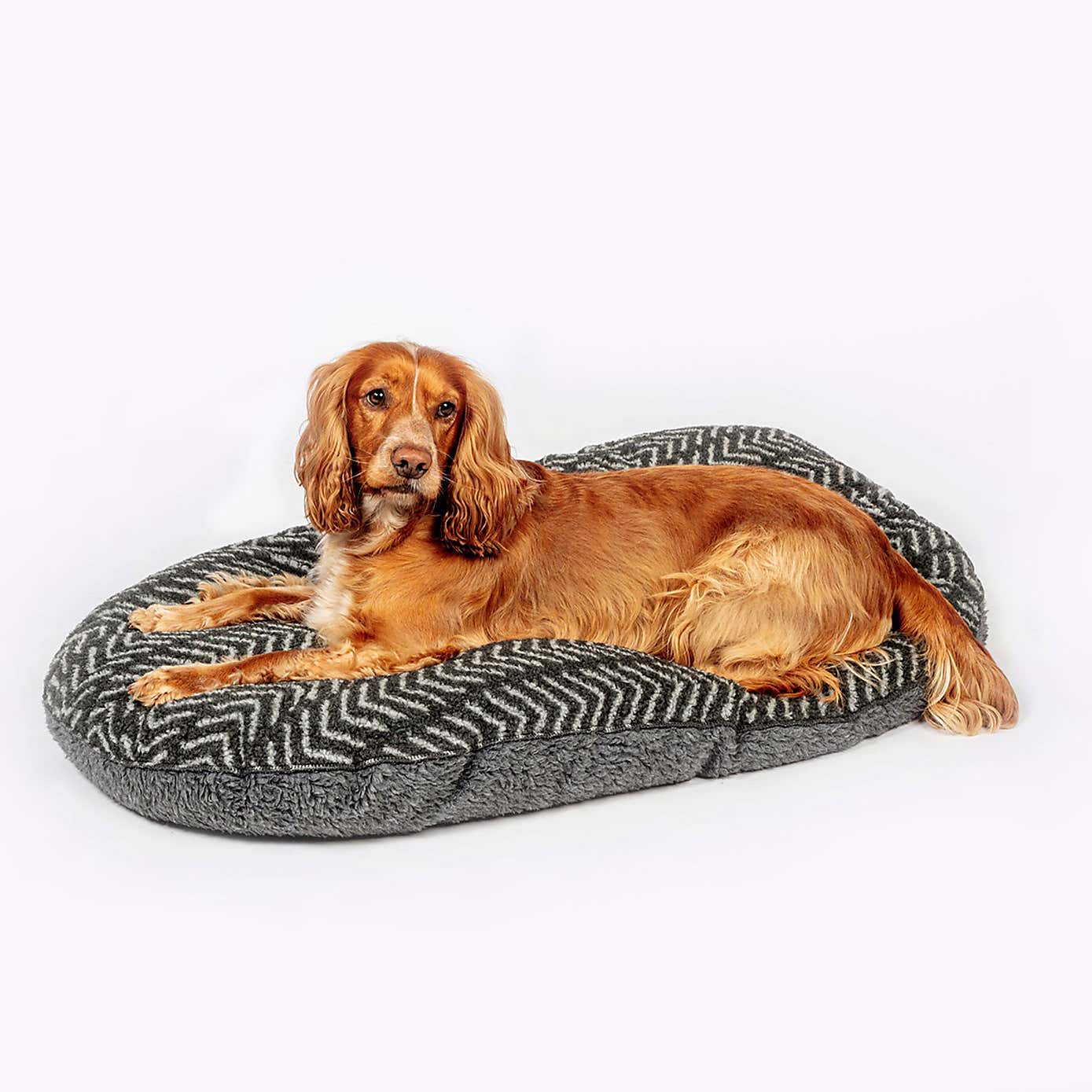 Danish Design Fleece Quilted Dog Mattress