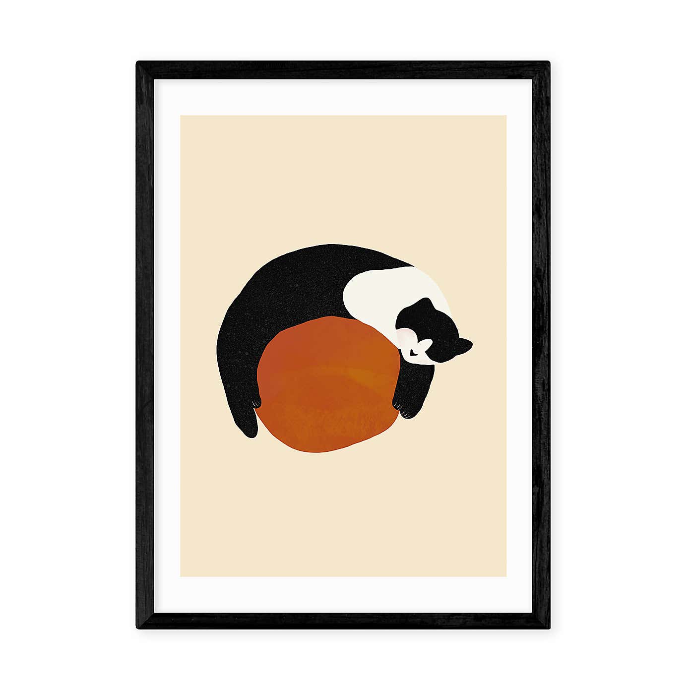 East End Prints Sleeping Cat Print by Sifa Mustafa
