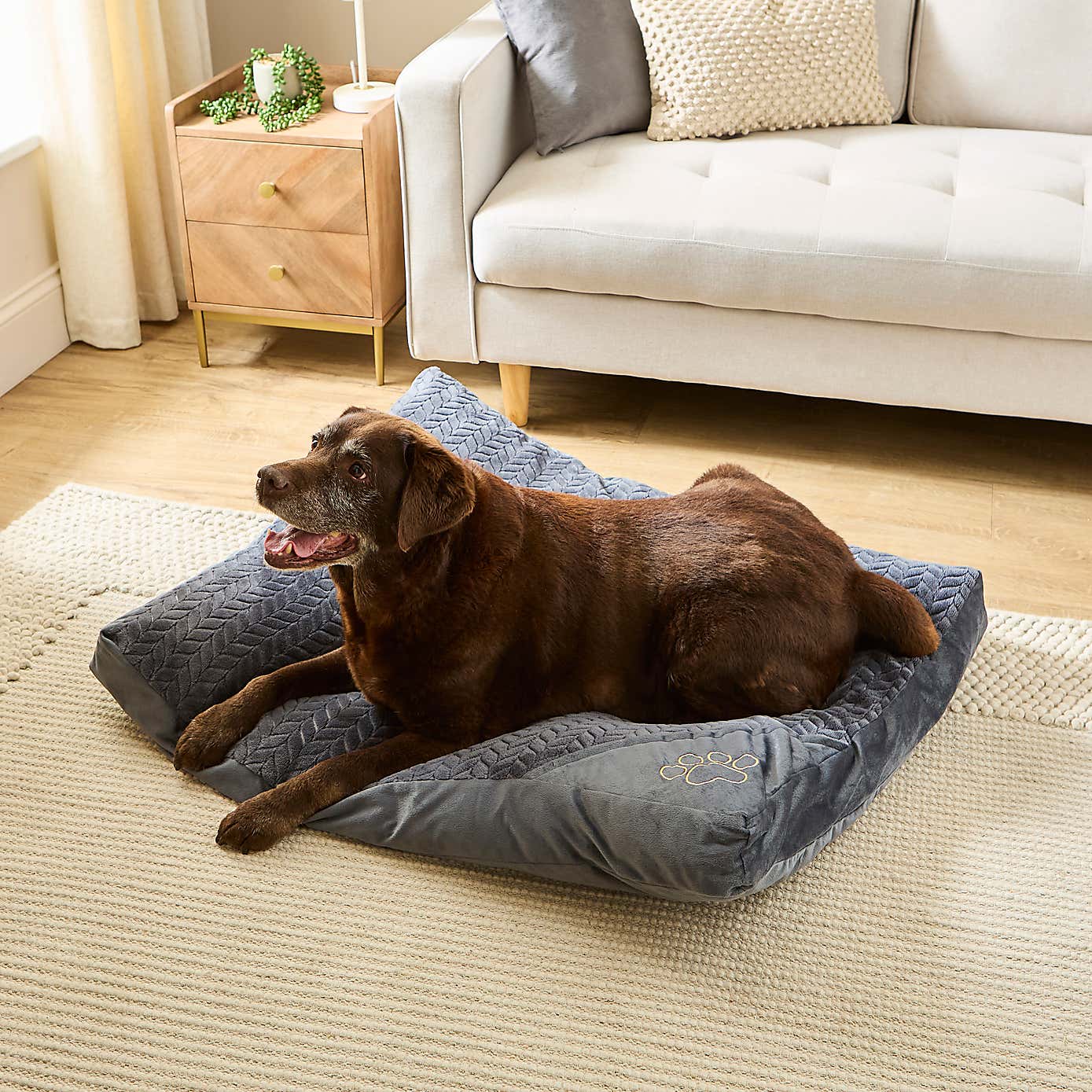 Mattress Pet Bed