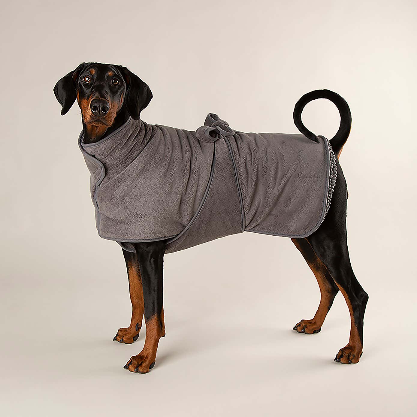 Scruffs Expedition Dog Drying Robe