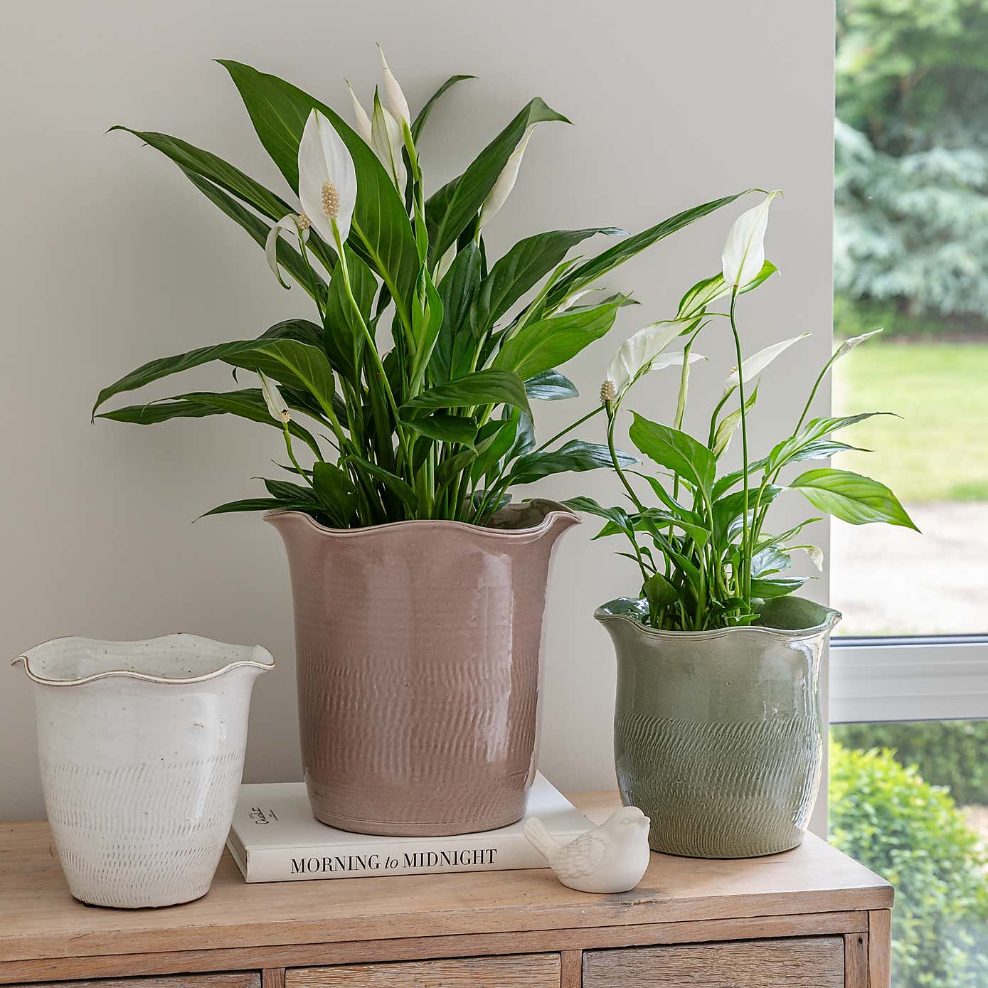 Camellia Scalloped Edge Ceramic Plant Pot