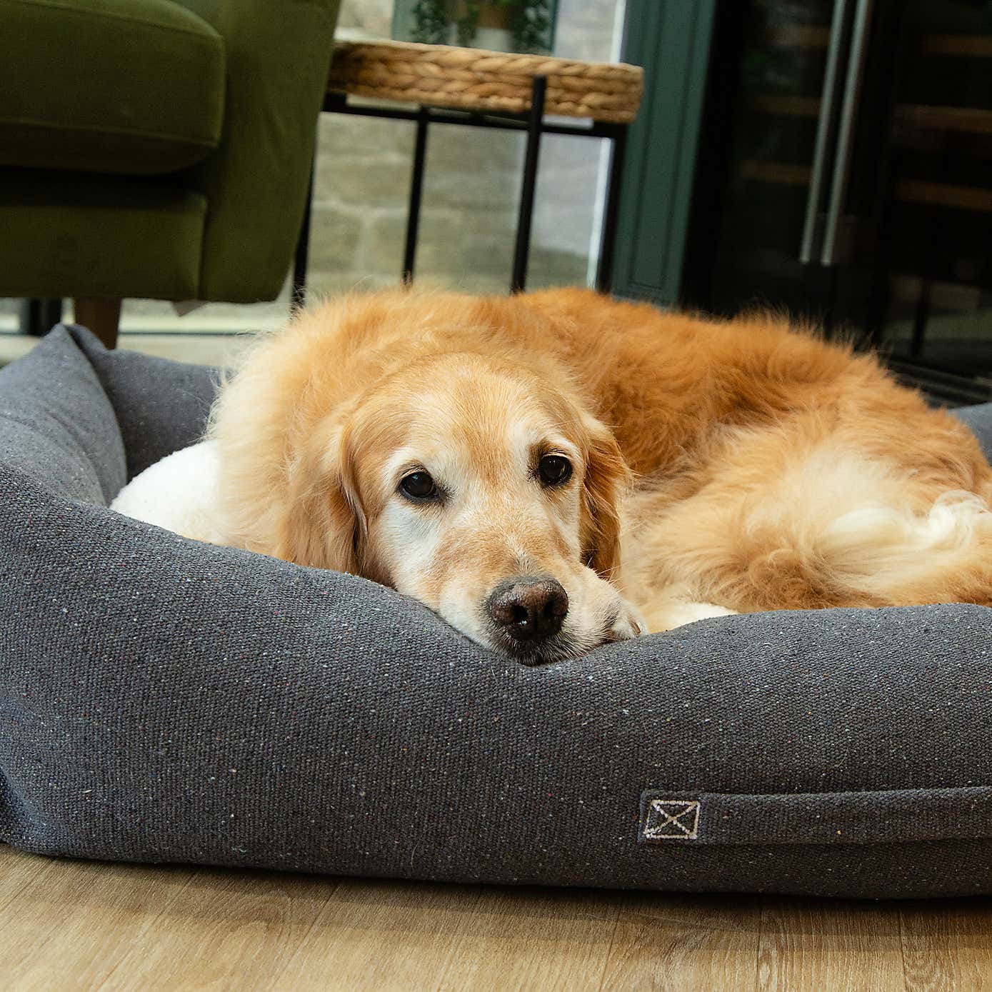 Scruffs 100% Recycled Eden Dog Box Bed