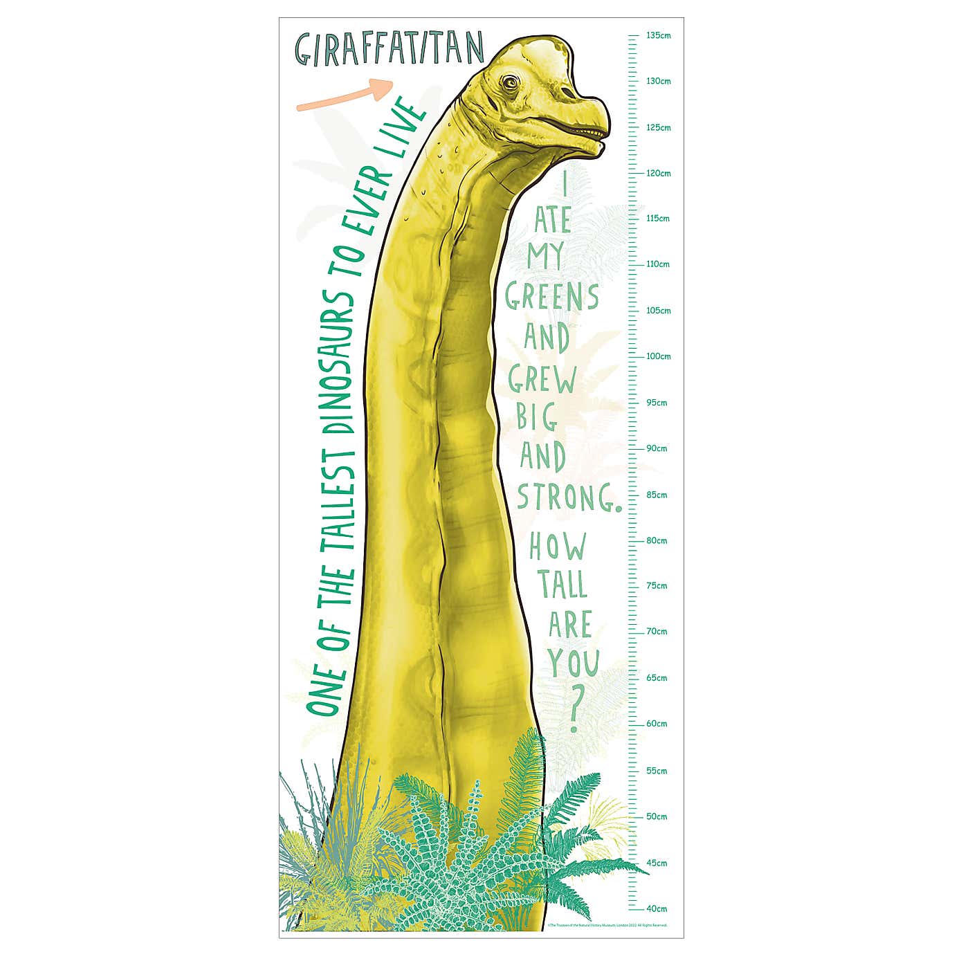 Giraffatitan Height Chart Sticker