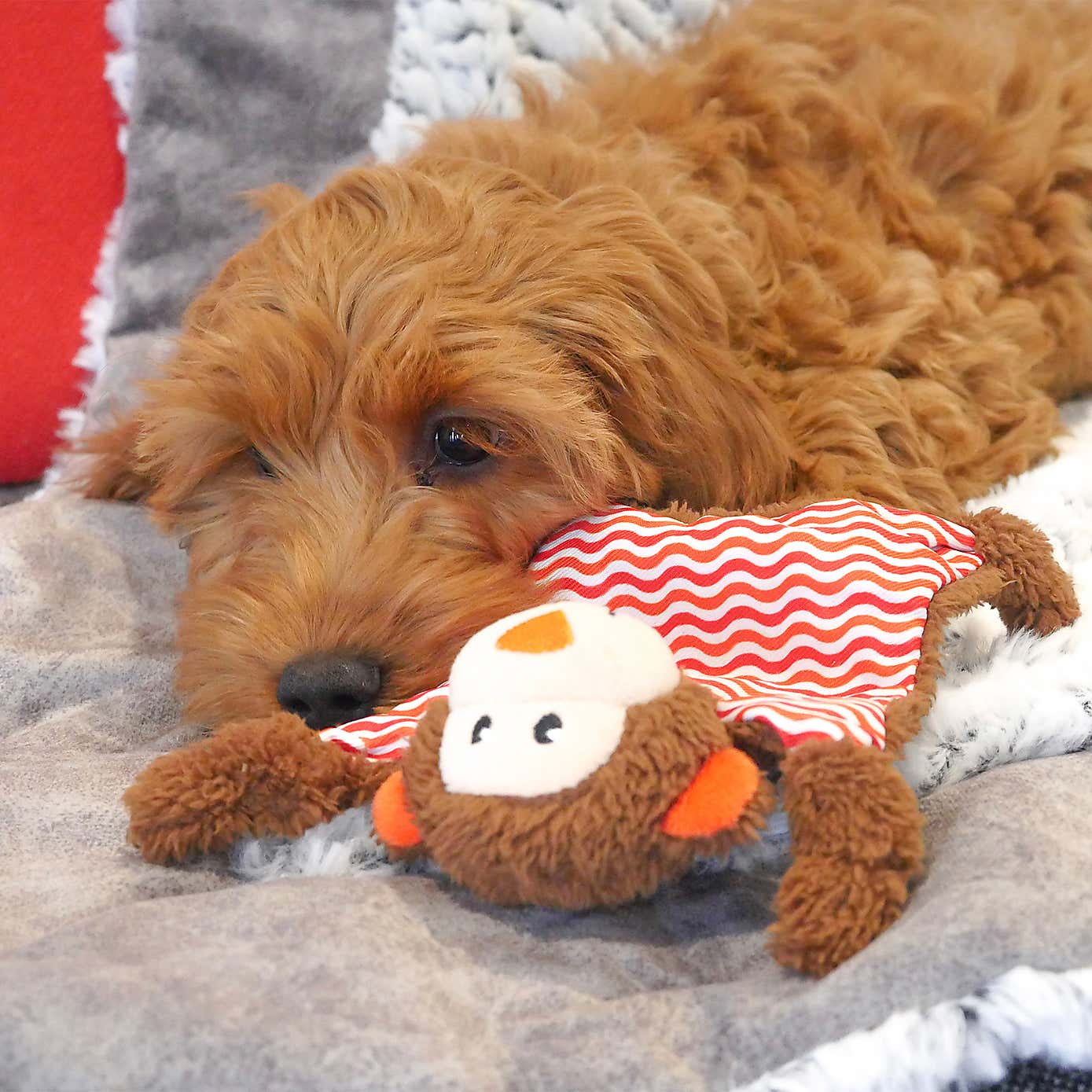 Rosewood Little Nippers Cheeky Chimp Dog Toy