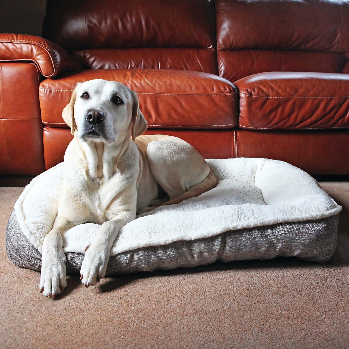 Rosewood Tweed Teddy Pet Mat