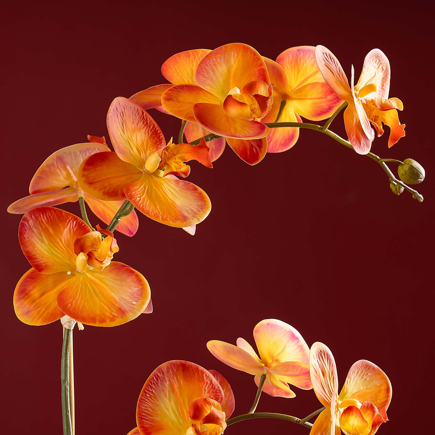 Artificial Real Touch Orange Phalaenopsis Orchid in Ceramic Pot