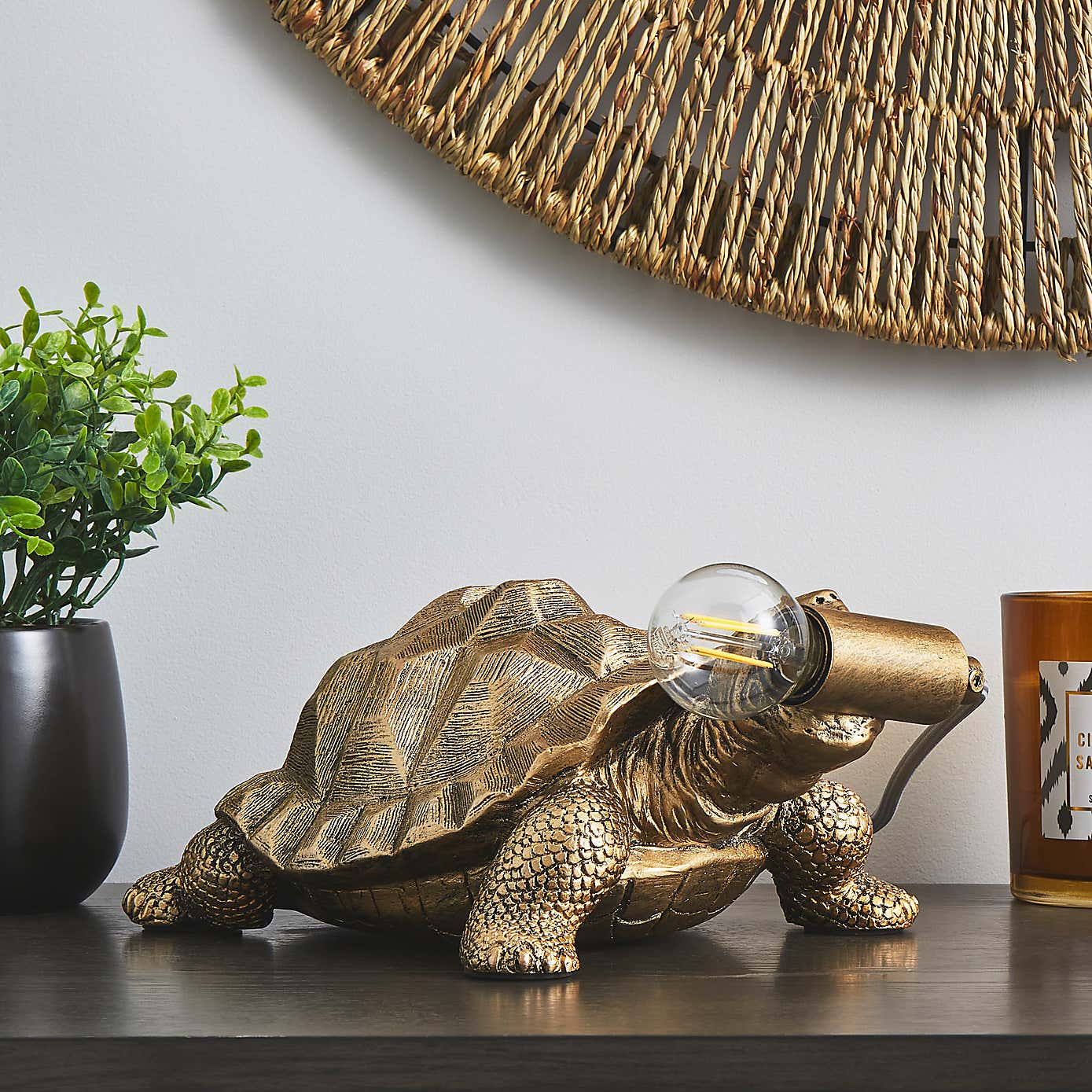 Tafari Tortoise Table Lamp