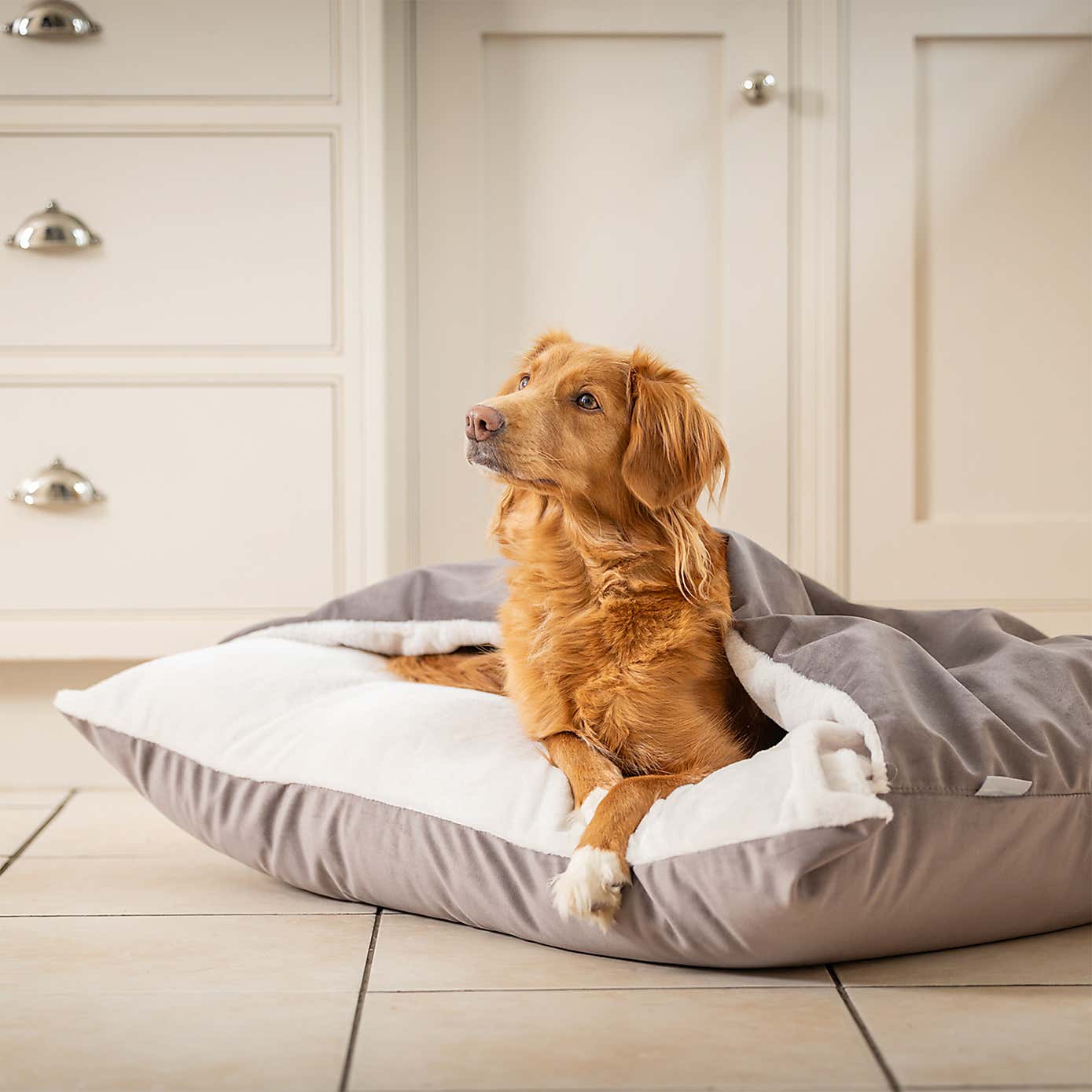 Lords and Labradors Burrow Dog Bed