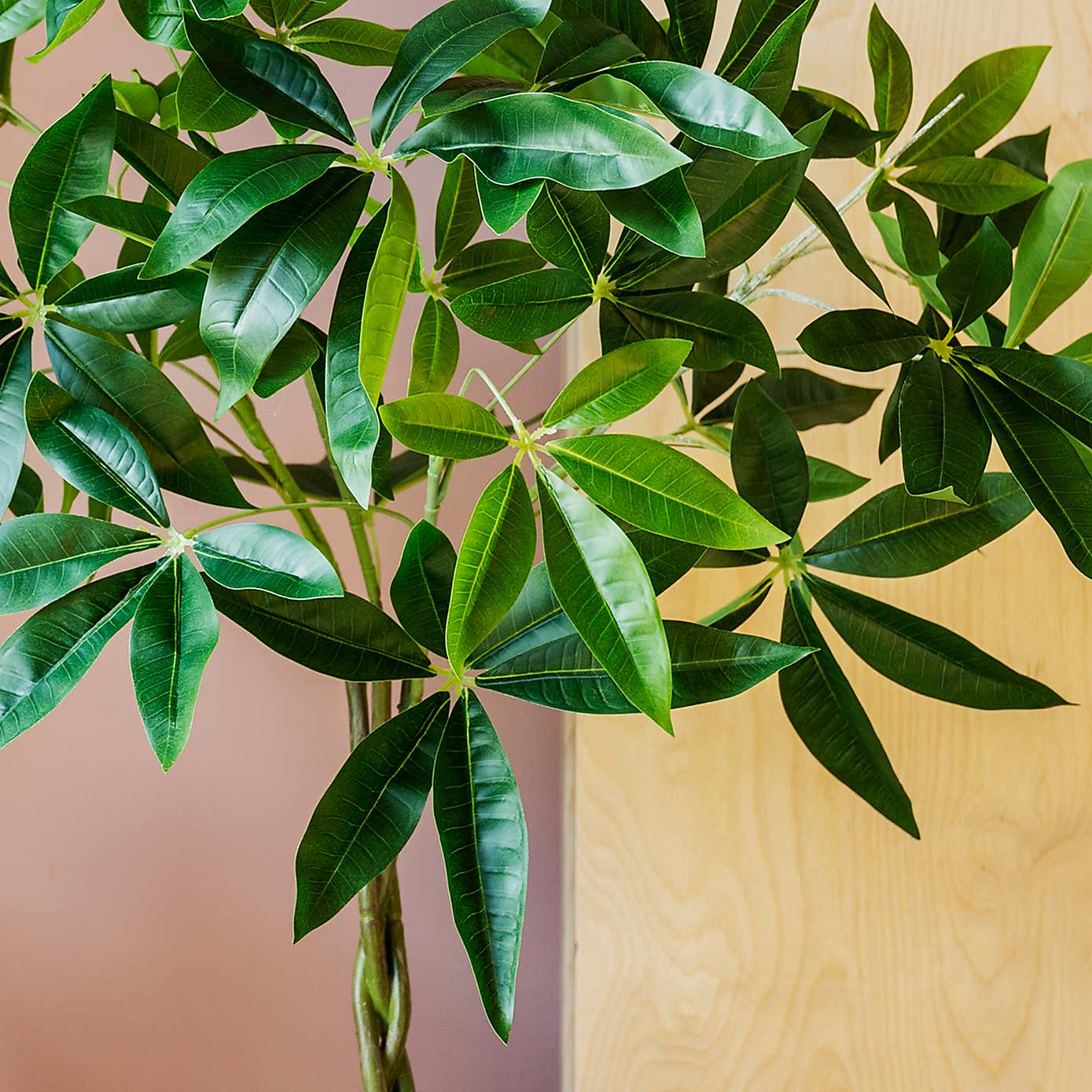 Artificial Money Tree