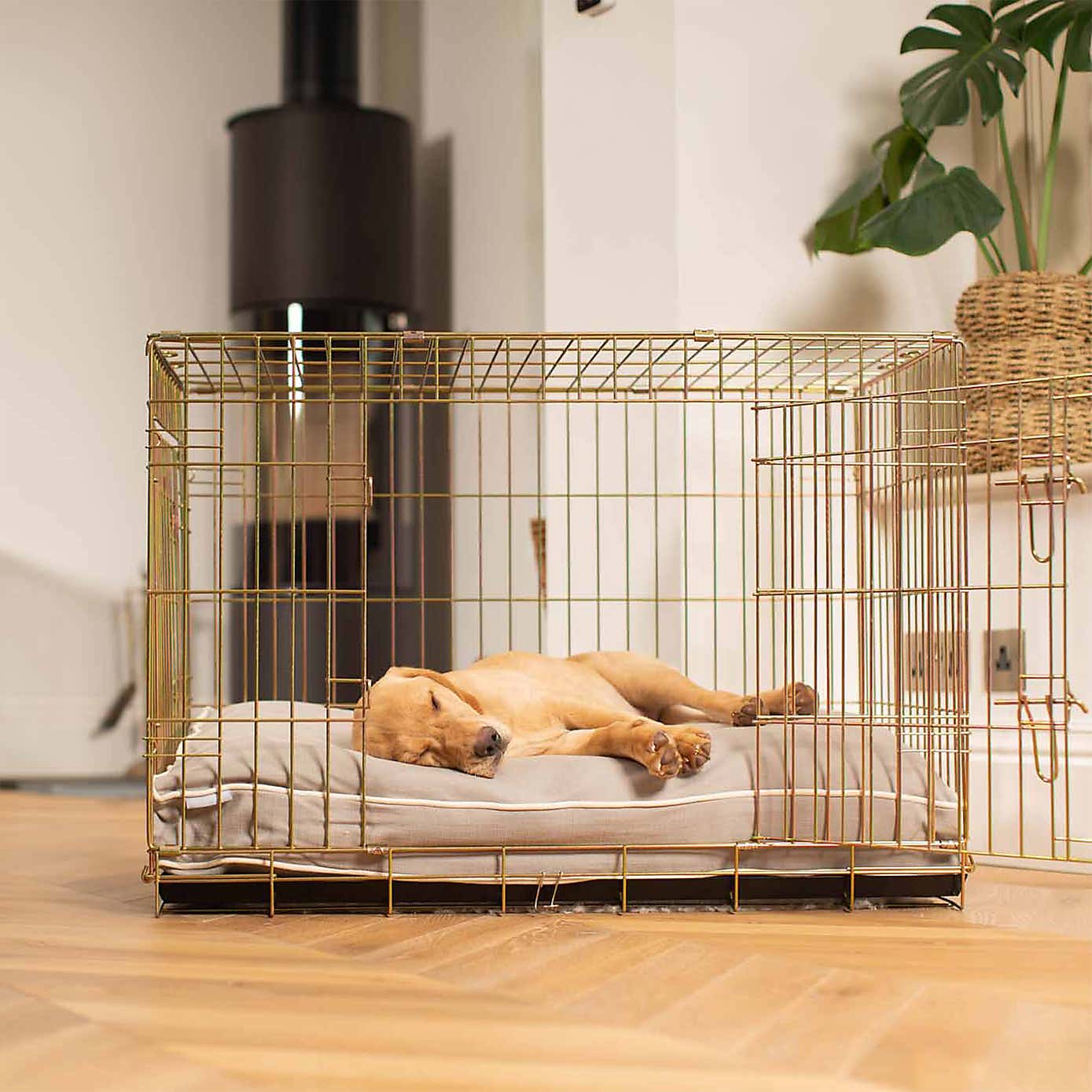 Lords and Labradors Savanna Dog Cushion