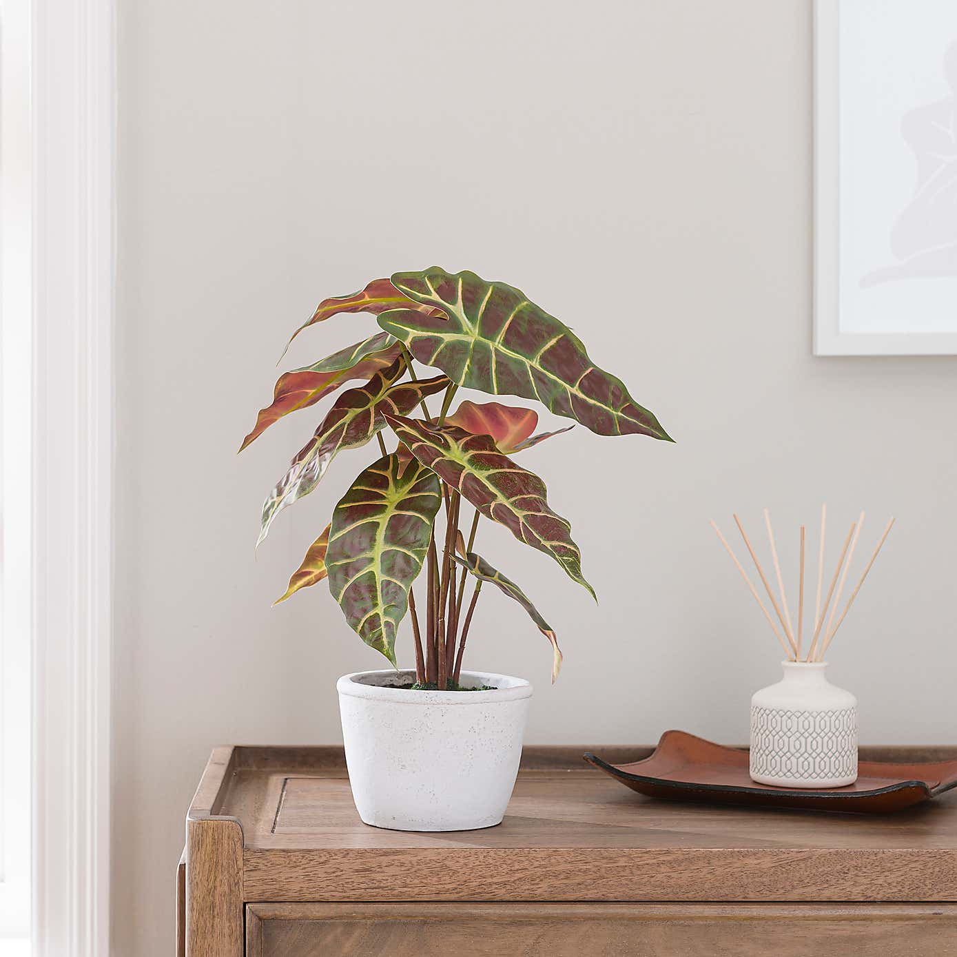 Artificial Alocasia Plant in White Cement Plant Pot