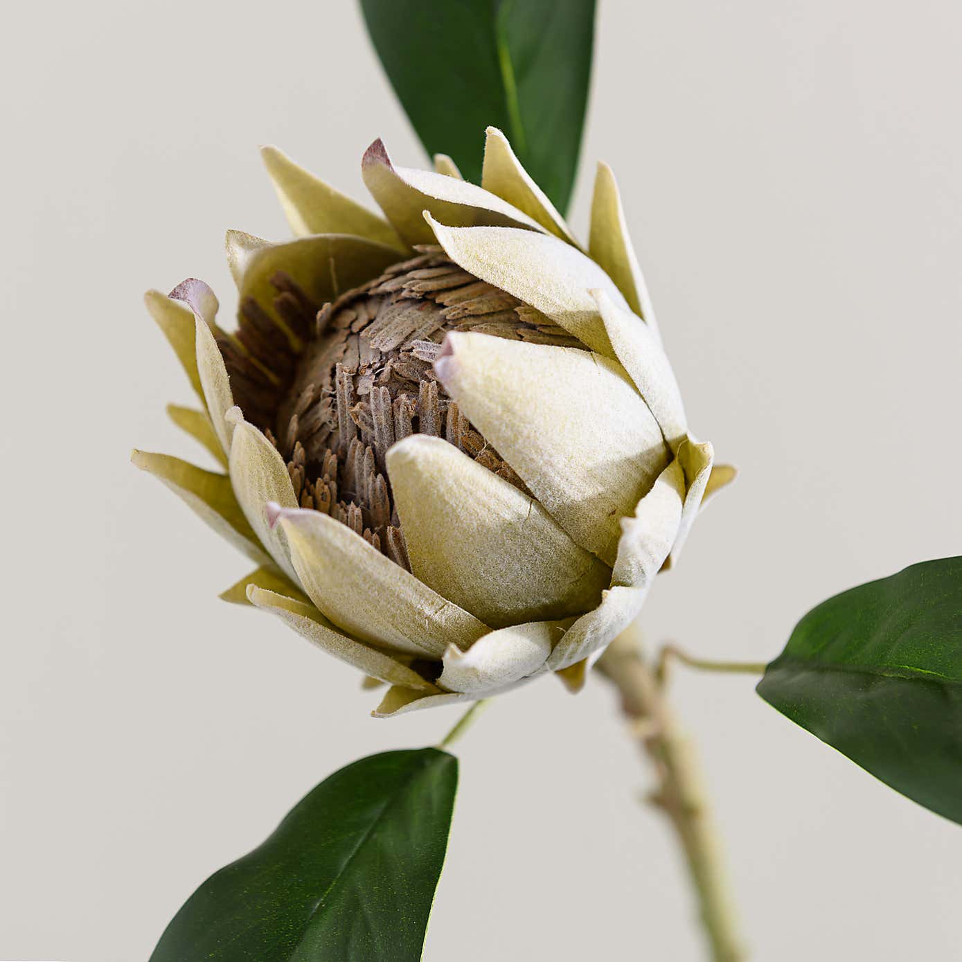Artificial Green Protea Stem