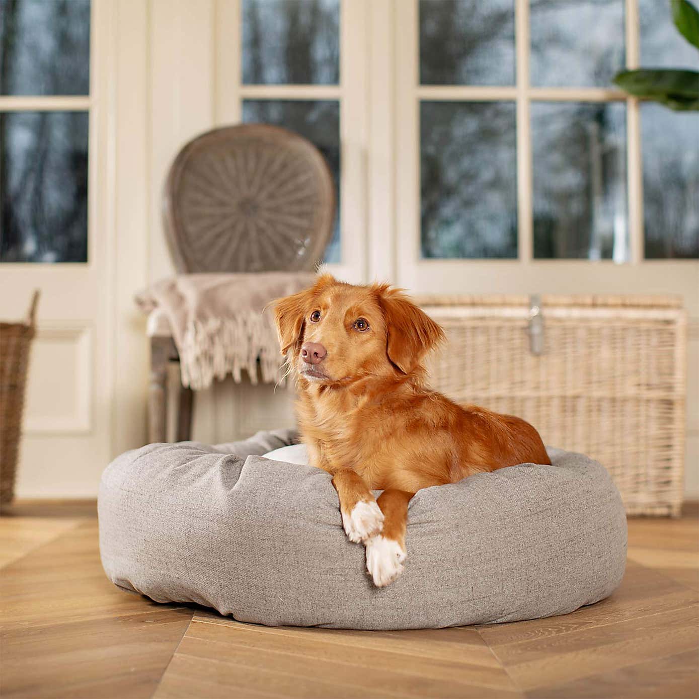 Lords and Labradors Inchmurrin Donut Dog Bed