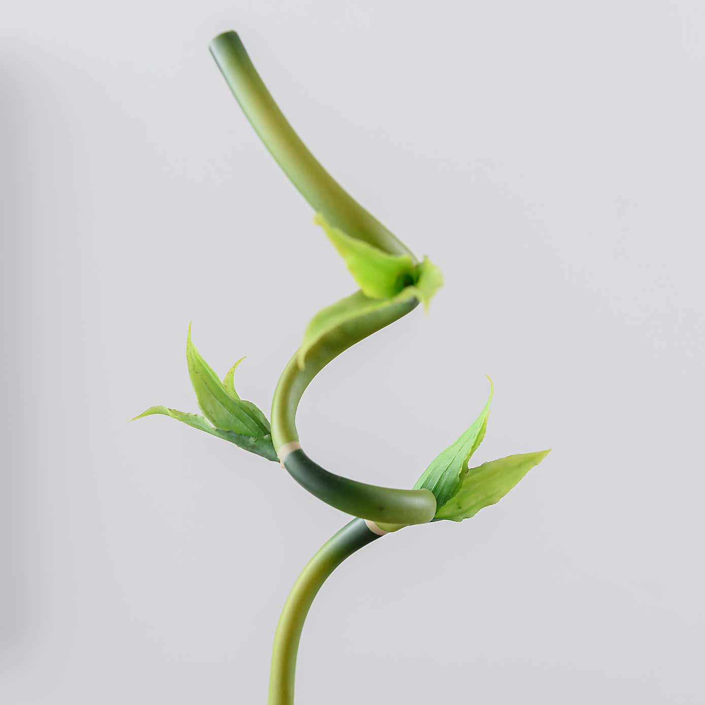 Artificial Green Lucky Bamboo Stem