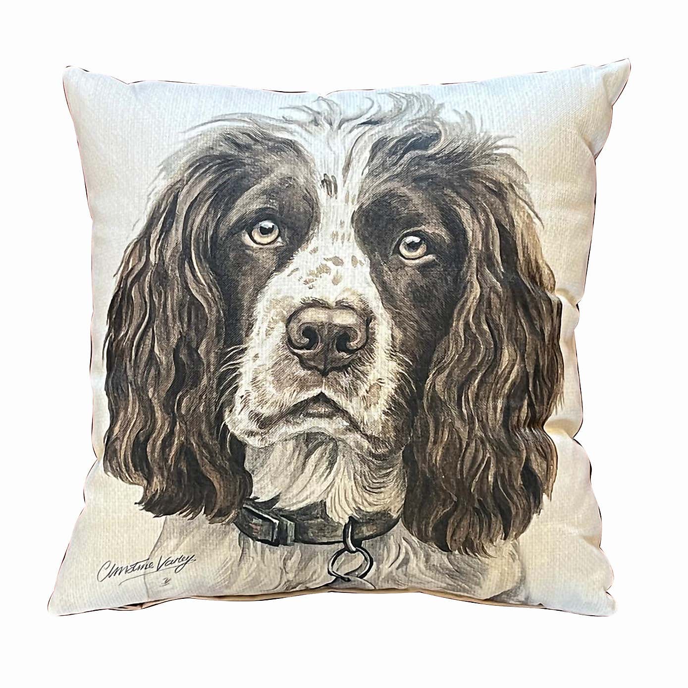 Daro Springer Spaniel Square Cushion