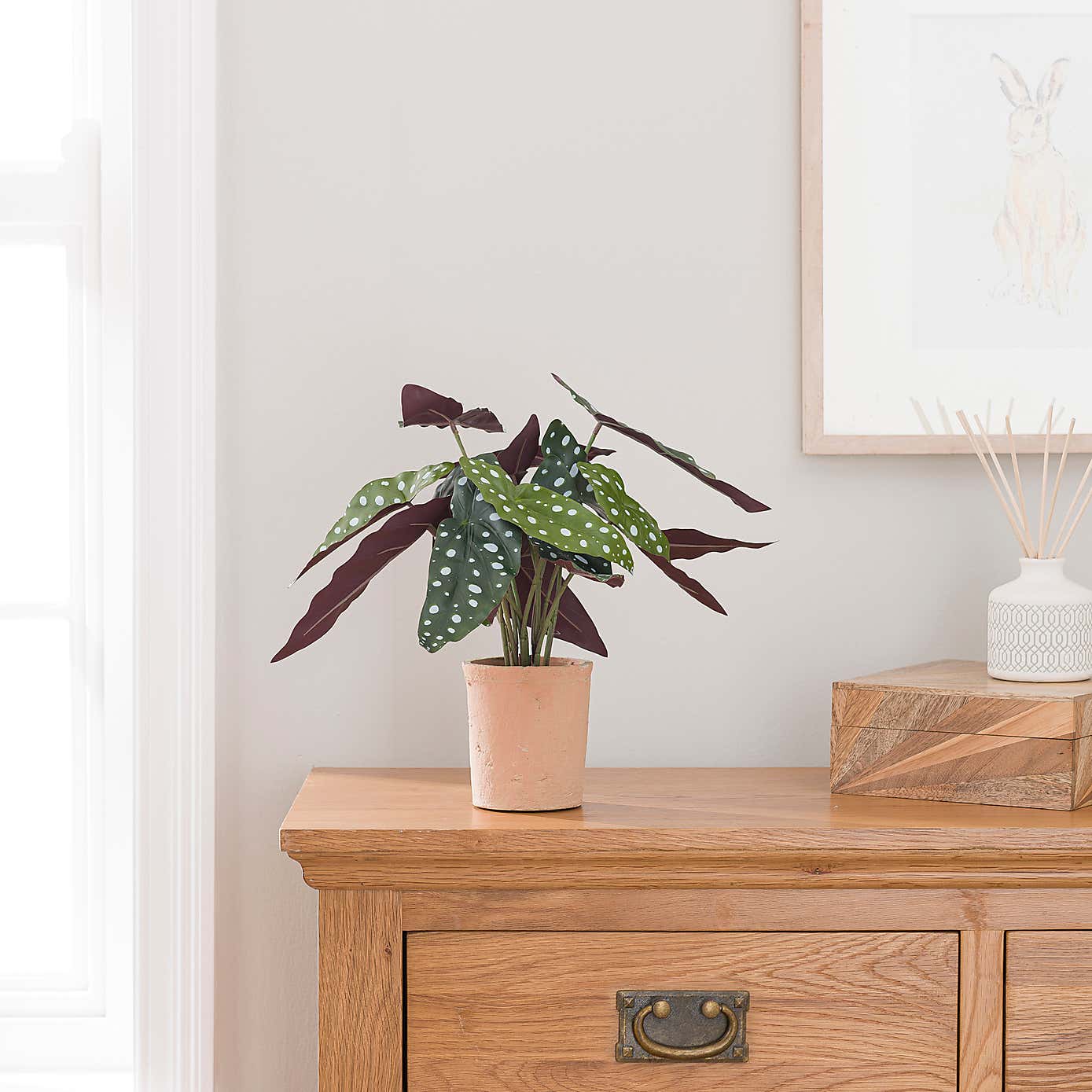 Artificial Polka Dot Begonia in Orange Cement Plant Pot