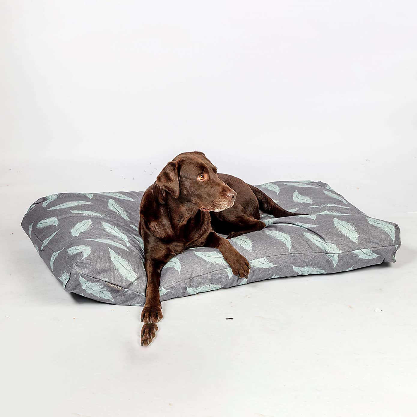 Danish Design Retreat Eco Wellness Feather Dog Duvet
