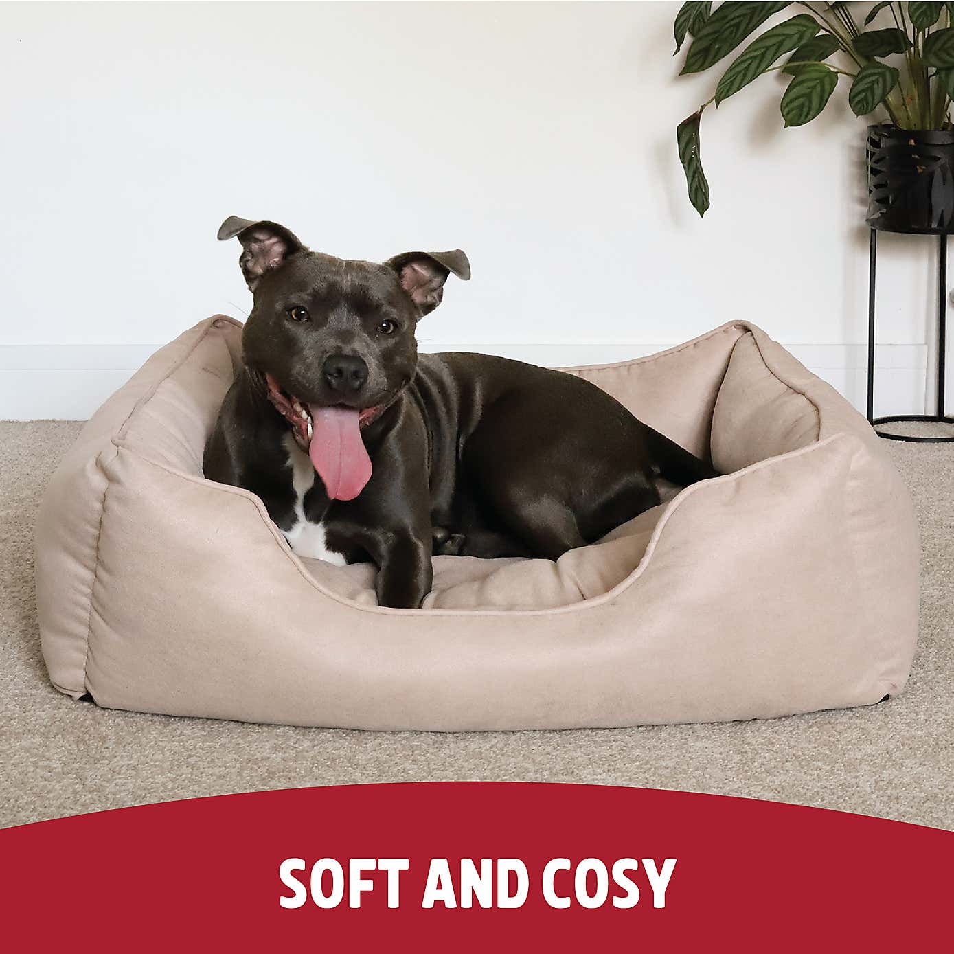 Rosewood Twill Box Pet Bed