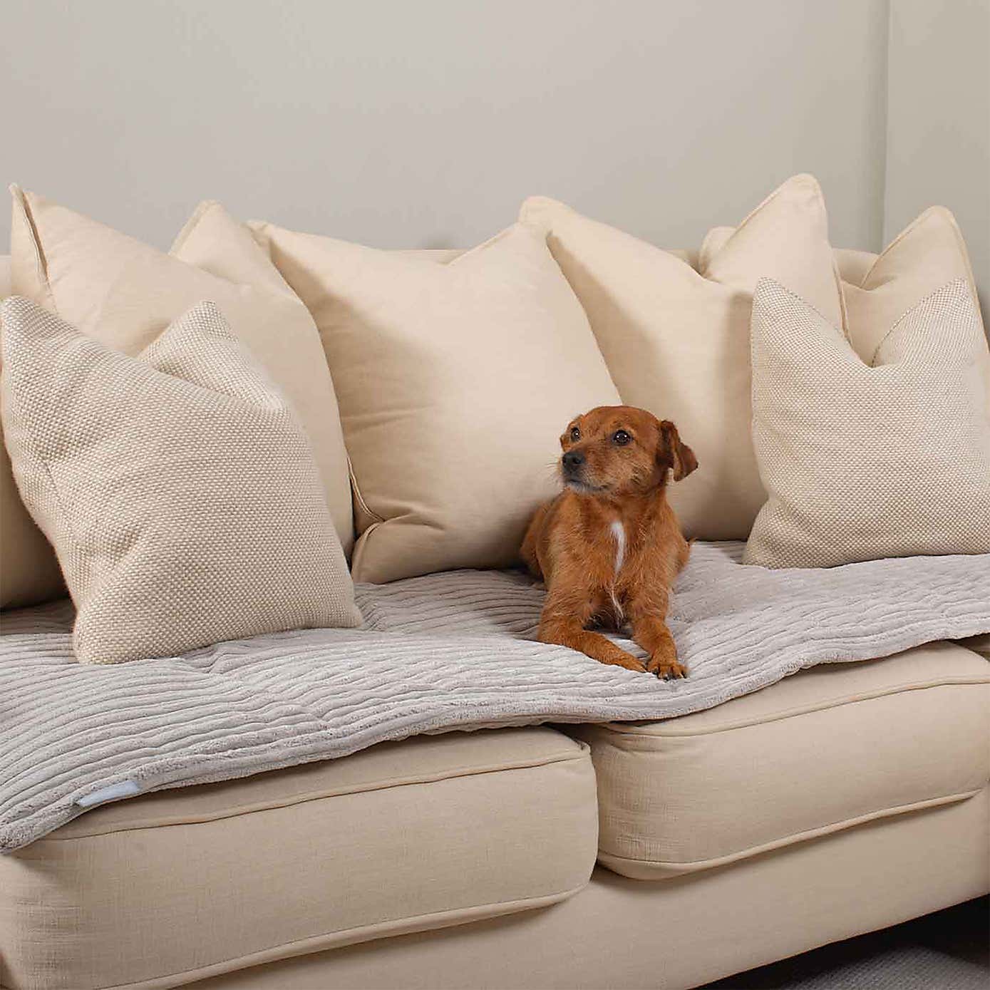 Lords and Labradors Essentials Pet Sofa Topper