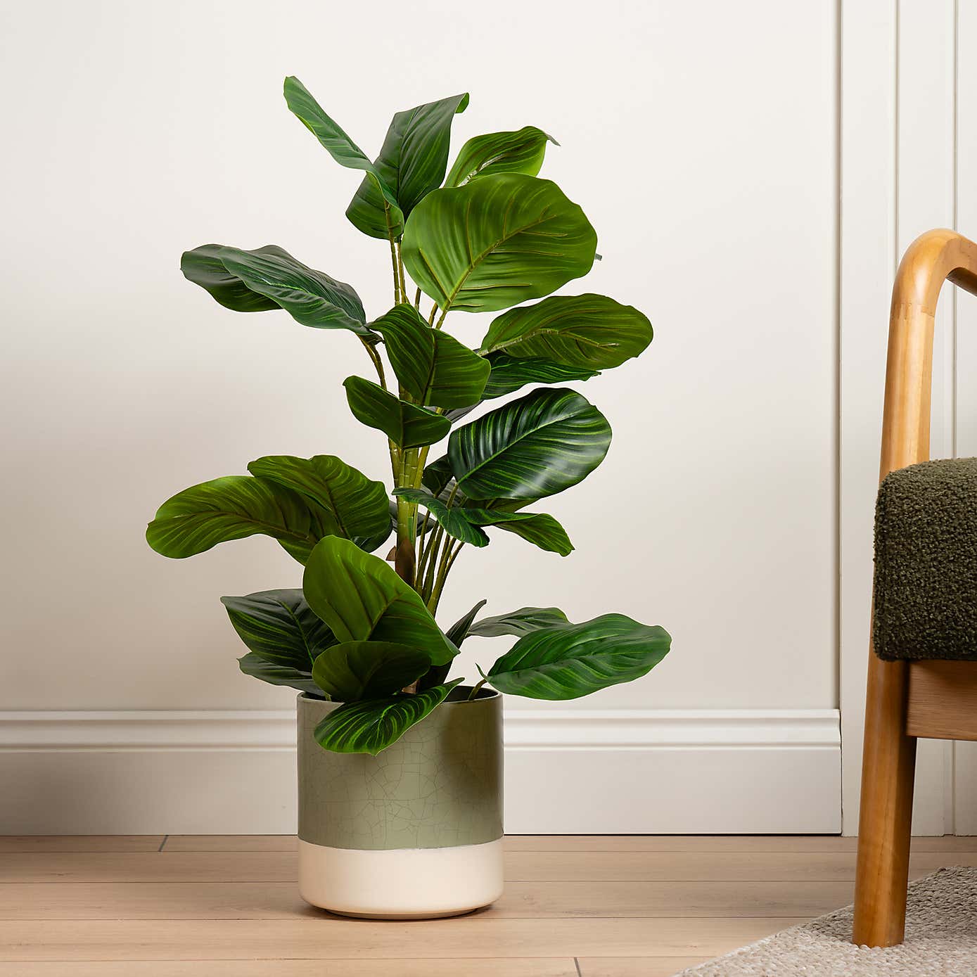 Artificial Real Touch Arrowroot in Black Plant pot