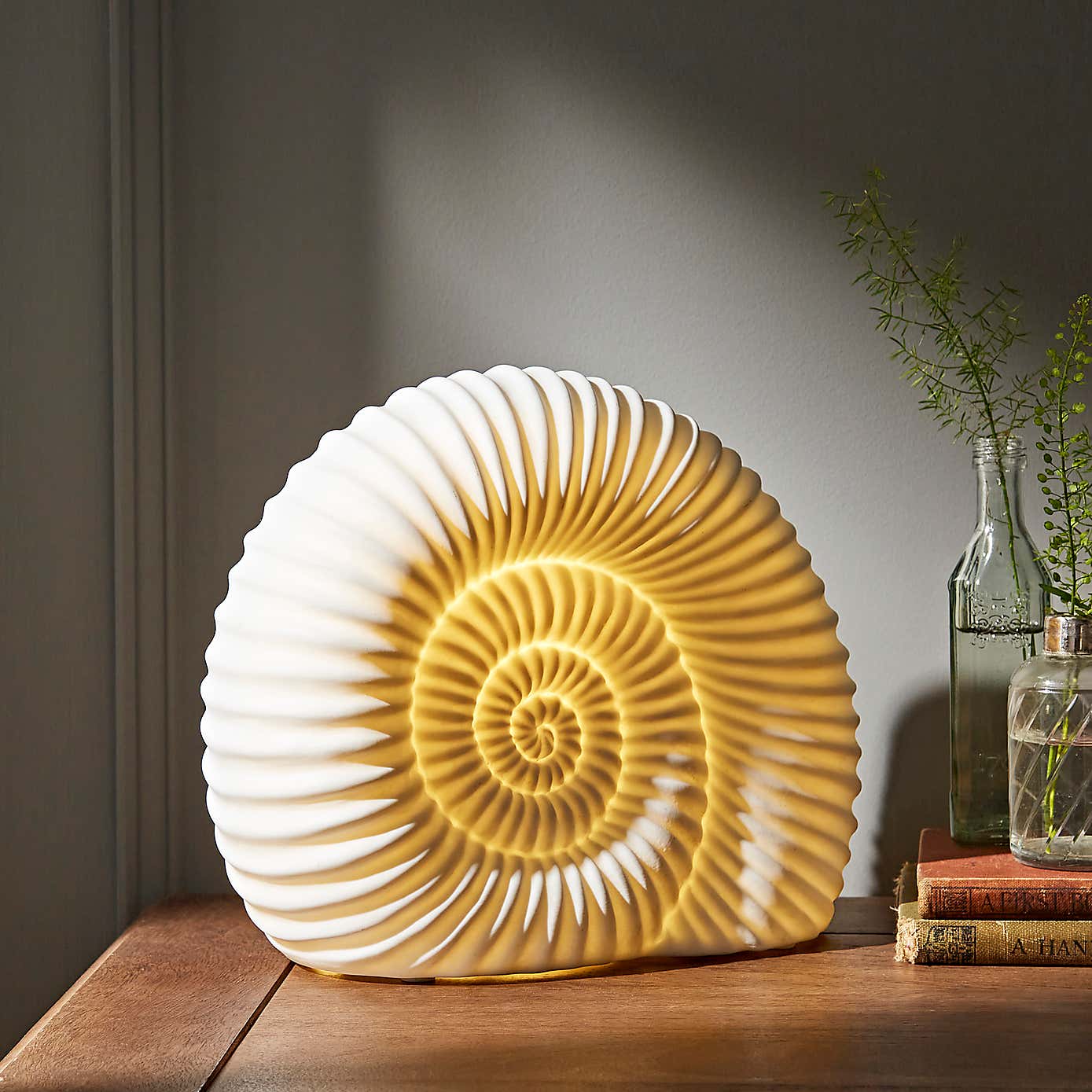 Porcelain Ammonite Lamp