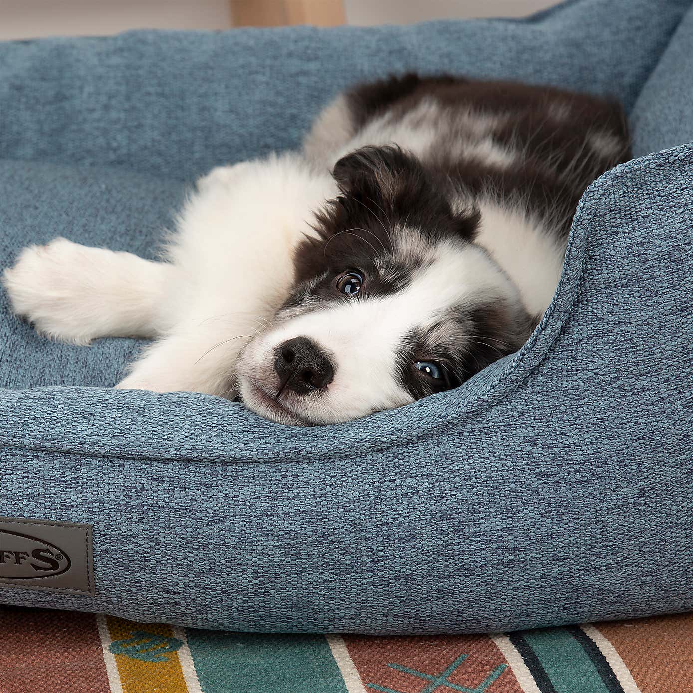 Scruffs Pet Manhattan Box Bed