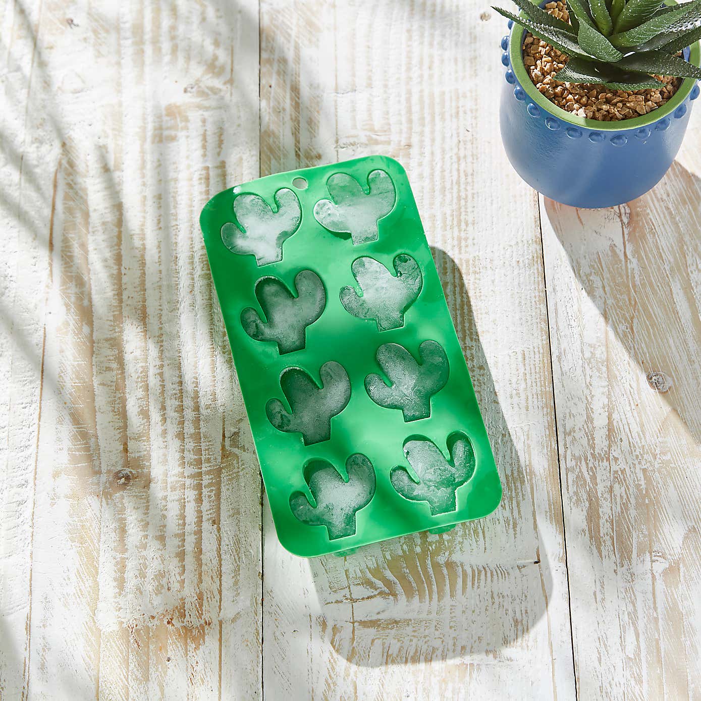 Cactus Ice Cube Mould