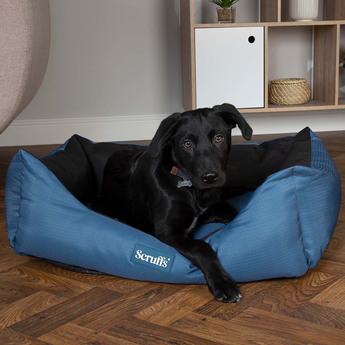 Scruffs Expedition Box Bed