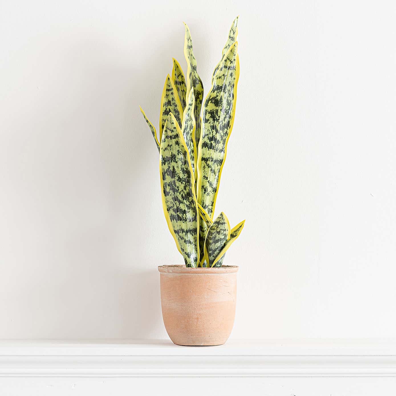 Artificial Sansevieria in Terracotta Plant Pot