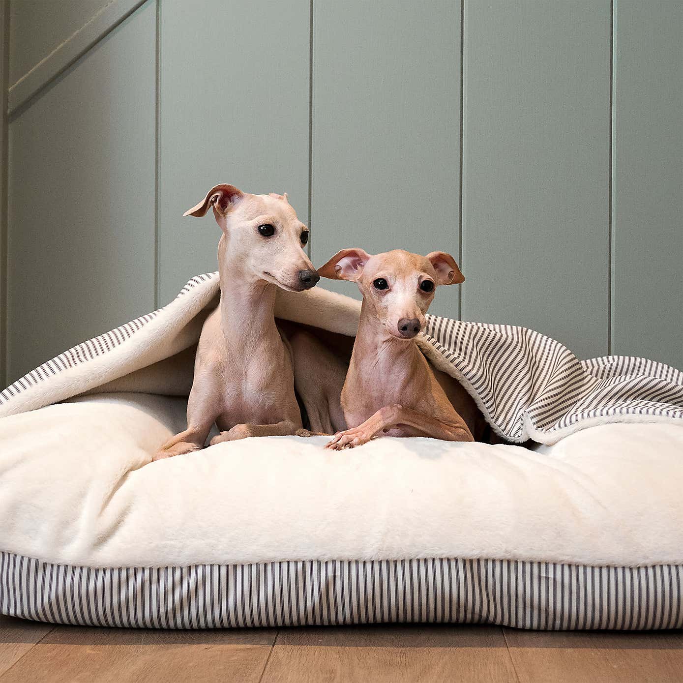 Lords and Labradors Sriped Burrow Dog Bed