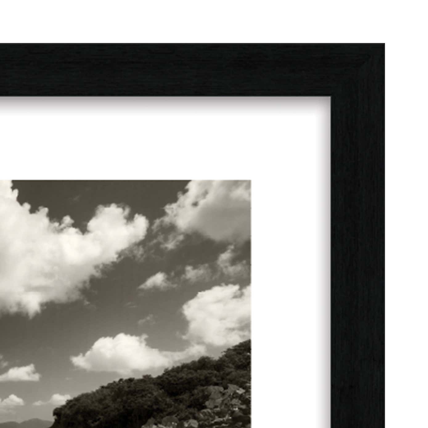 The Art Group Still Growing To The Sun Framed Print