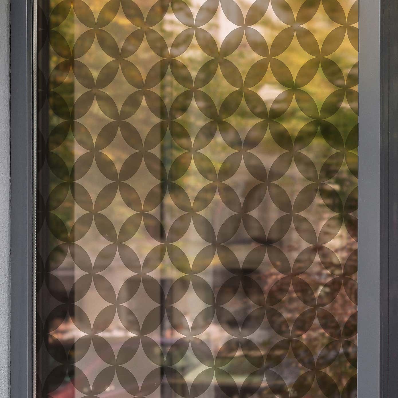 Fablon Self Adhesive Window Film