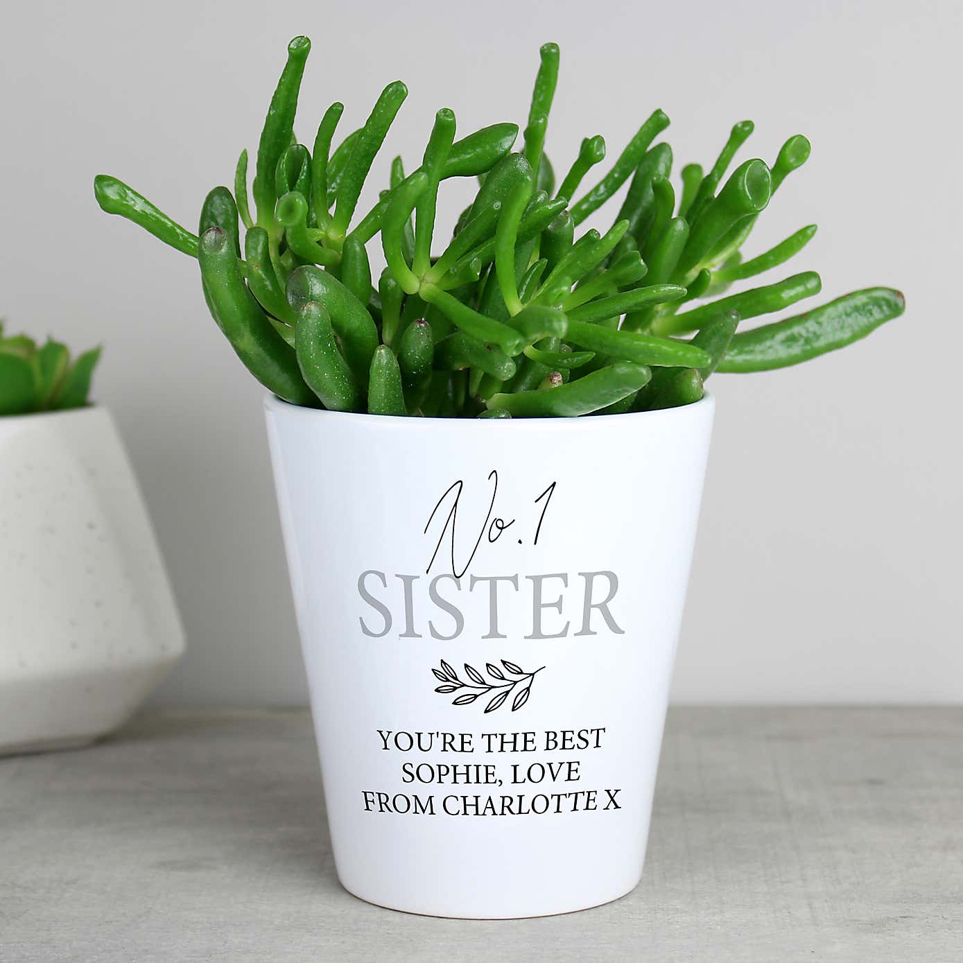 Personalised Message Plant Pot