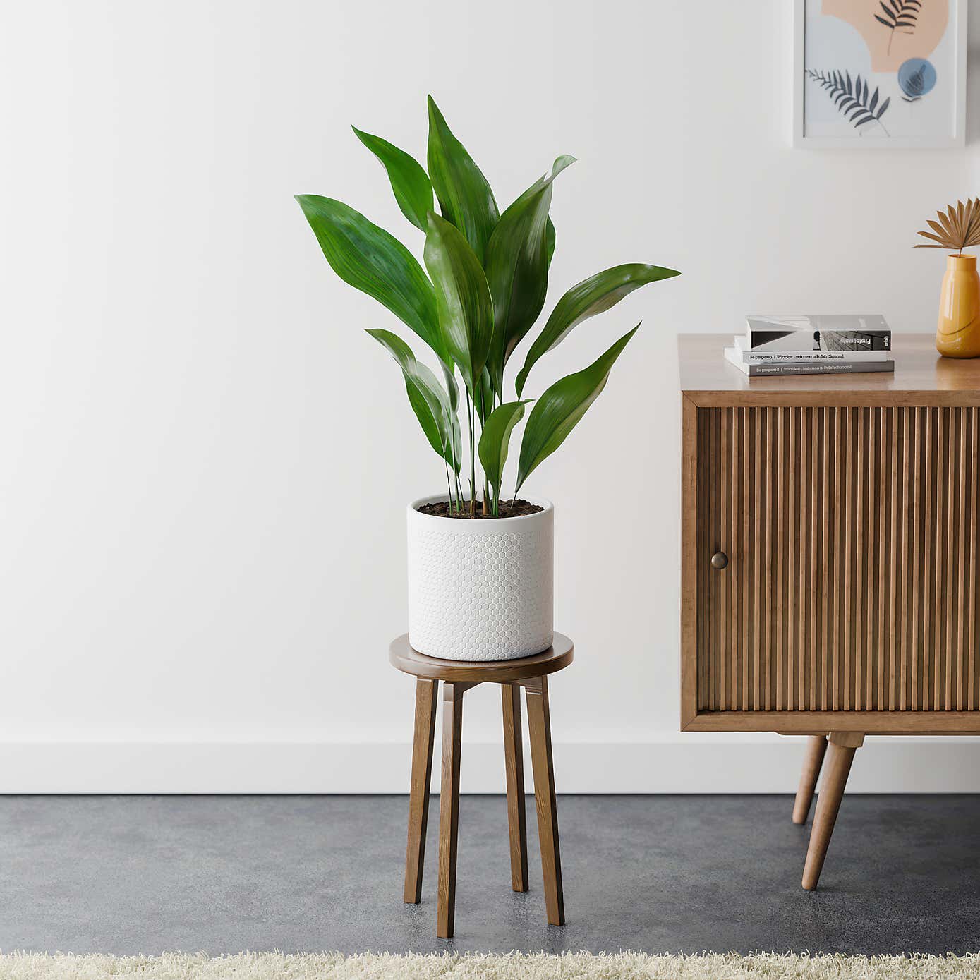 Beards & Daisies Cast Iron House Plant in Capri Pot