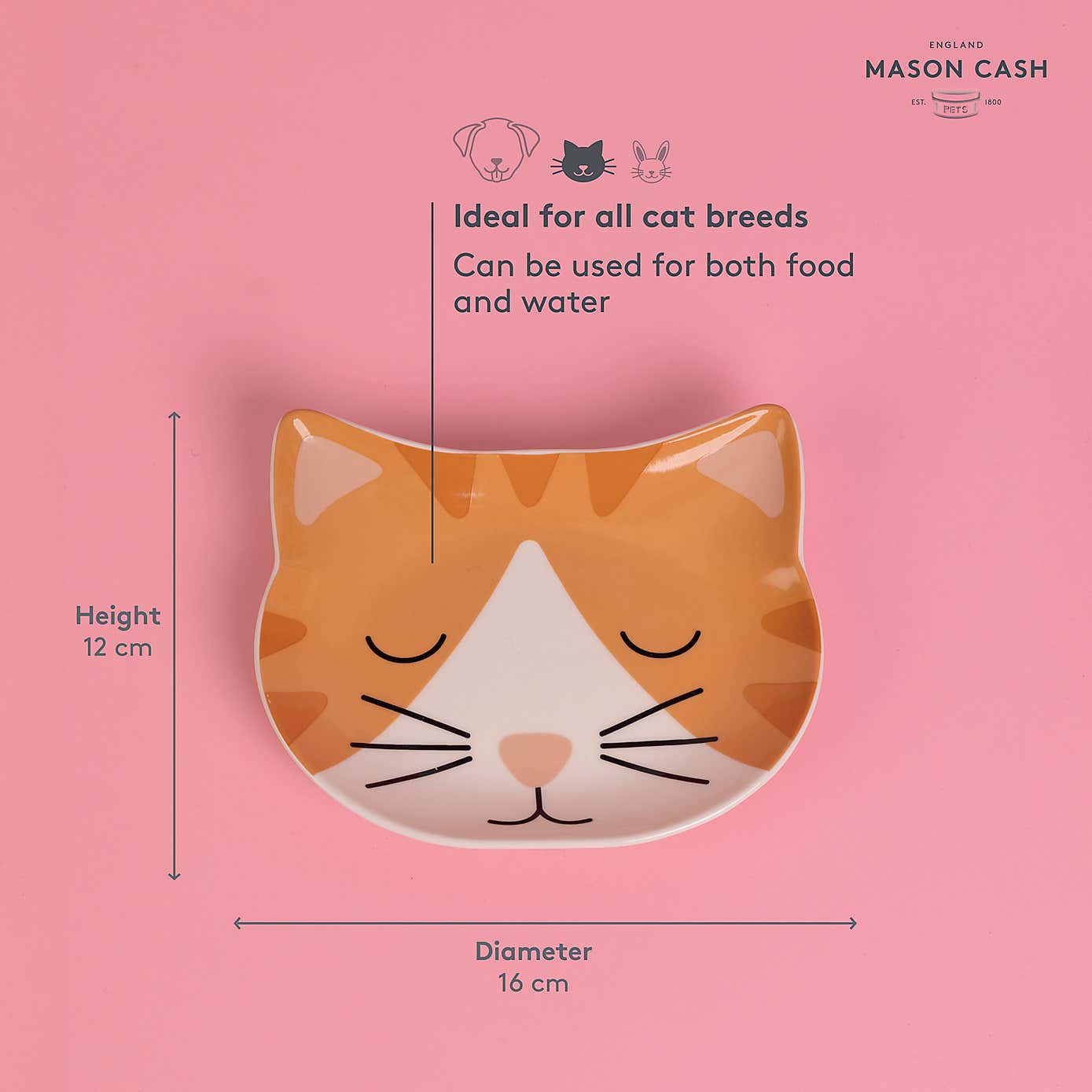 Mason Cash Smokey the Cat Saucer