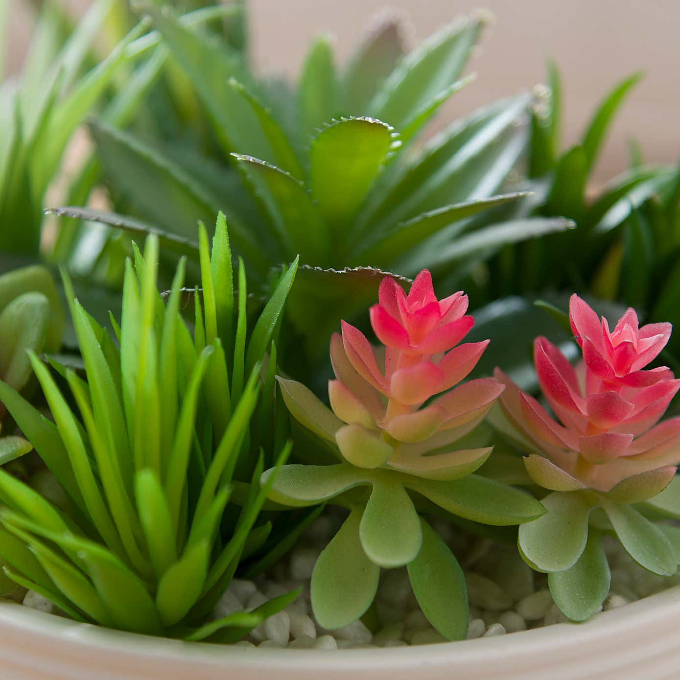 Artificial Succulent in Round Ceramic Plant Pot