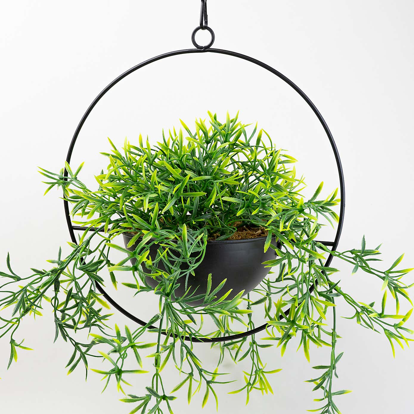 Artificial Trailing Plant in Black Industrial Round Hanging Plant Pot