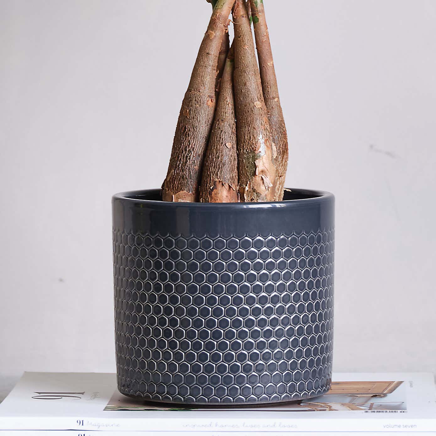 Beards and Daisies Capri Plant Pot