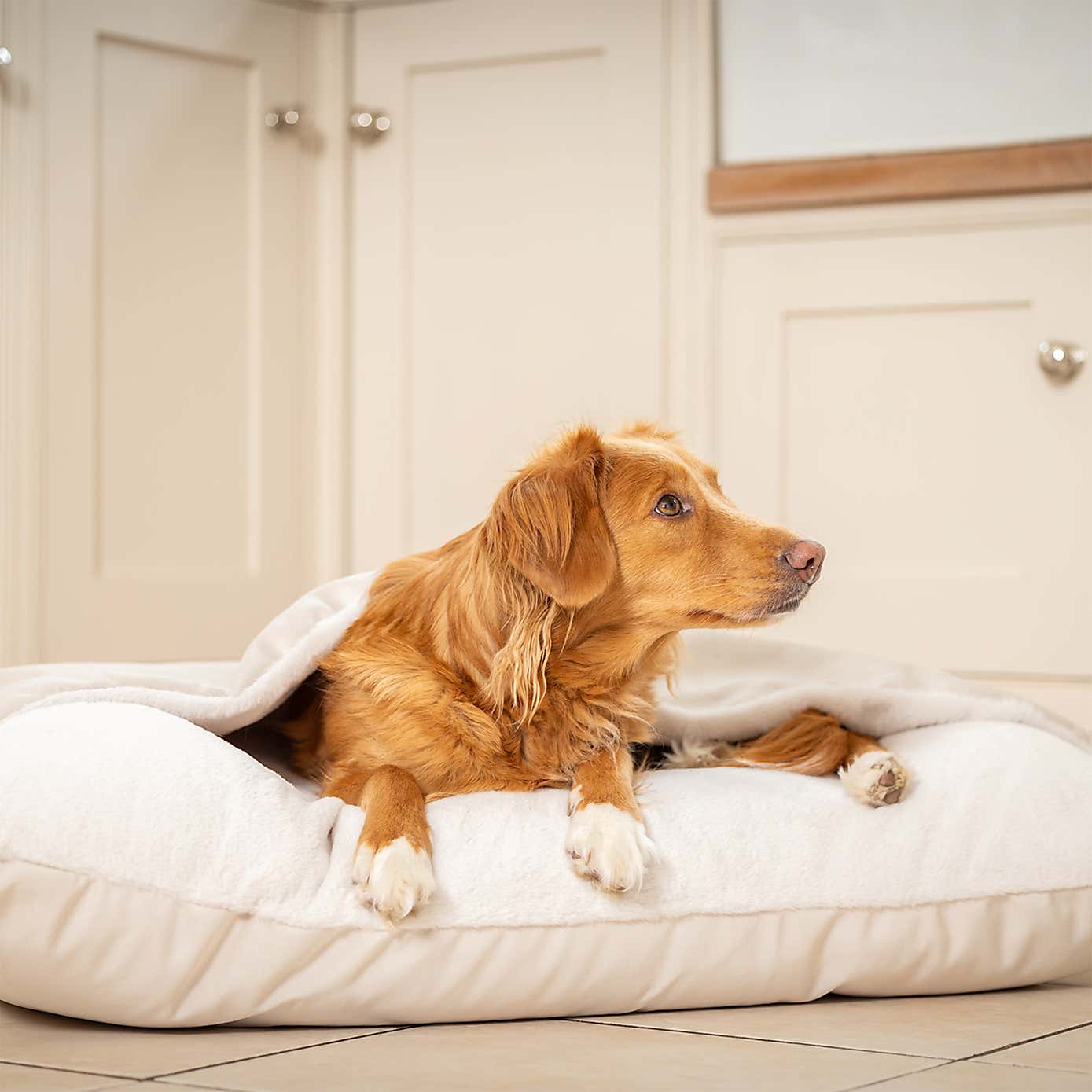 Lords and Labradors Burrow Dog Bed